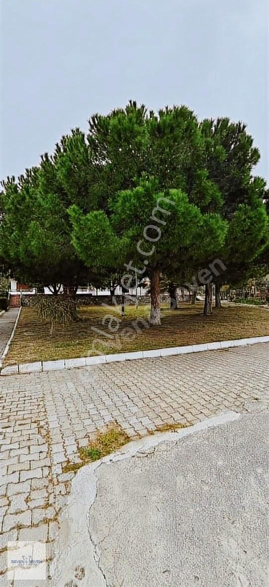 Kuşadası Kadınlar Denizi 3+1