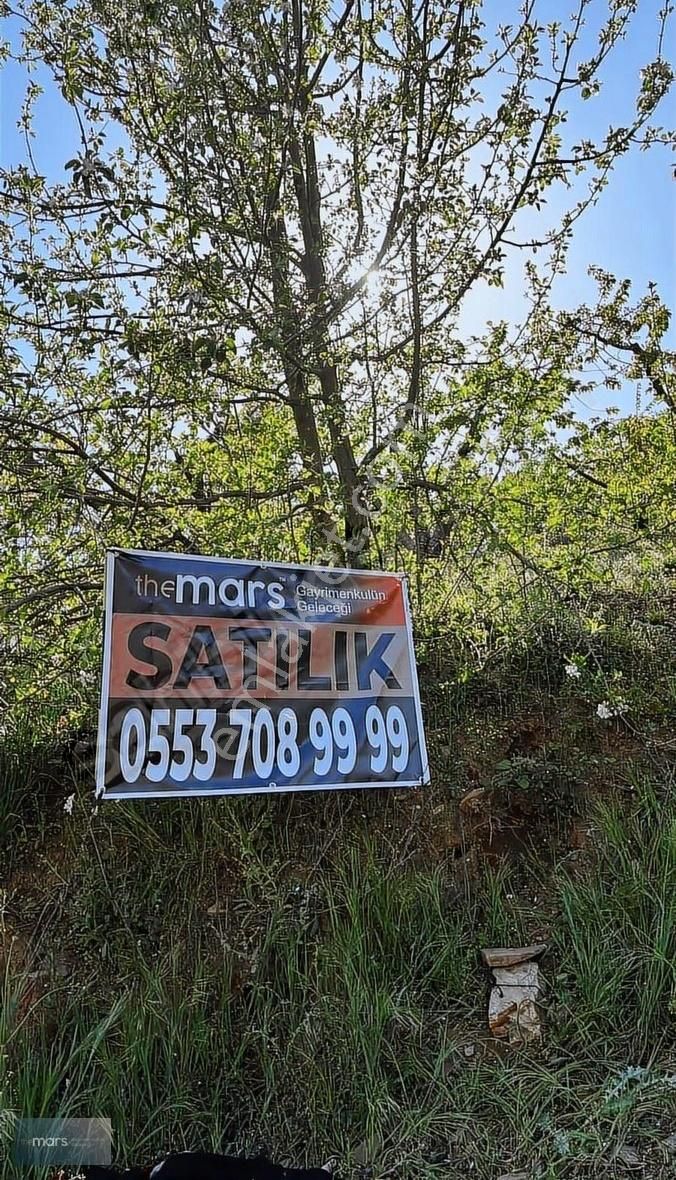 The Mars'tan Kamberler'de Satılık Kiraz Bahçesi