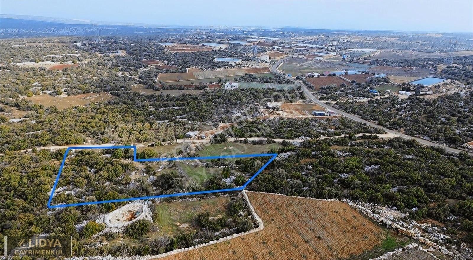 3400 M2 Deniz Manzaralı Tarla Fırsat Yer
