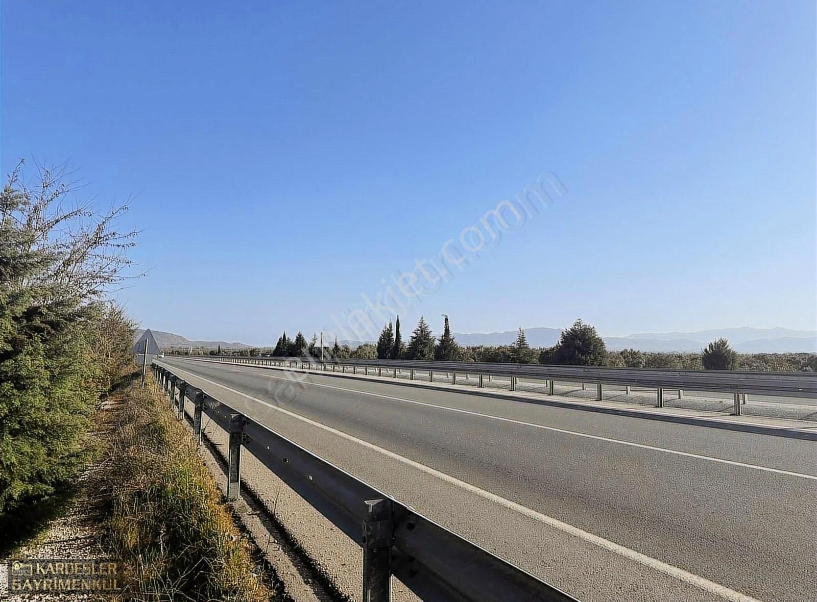 Satılık Gölmarmara Salihli Yolu Üzerinde Asfalt Üstü Zeytinlik