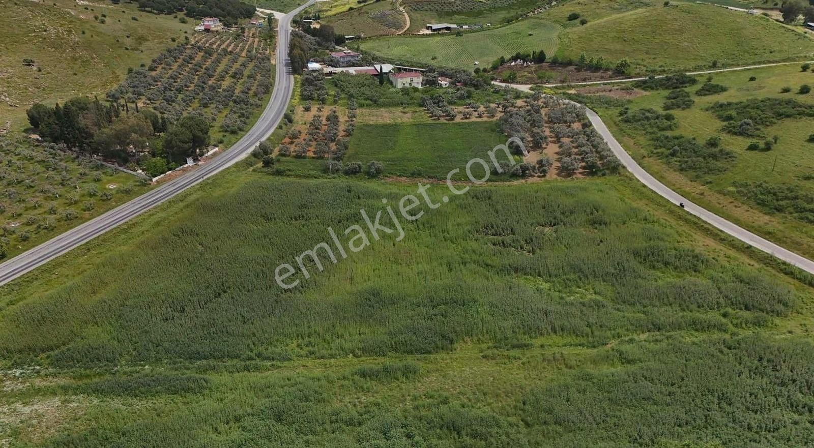 Pek Emlaktan İki Asfalt Yol Arası Tarımsal Depo İmarlı Arazi