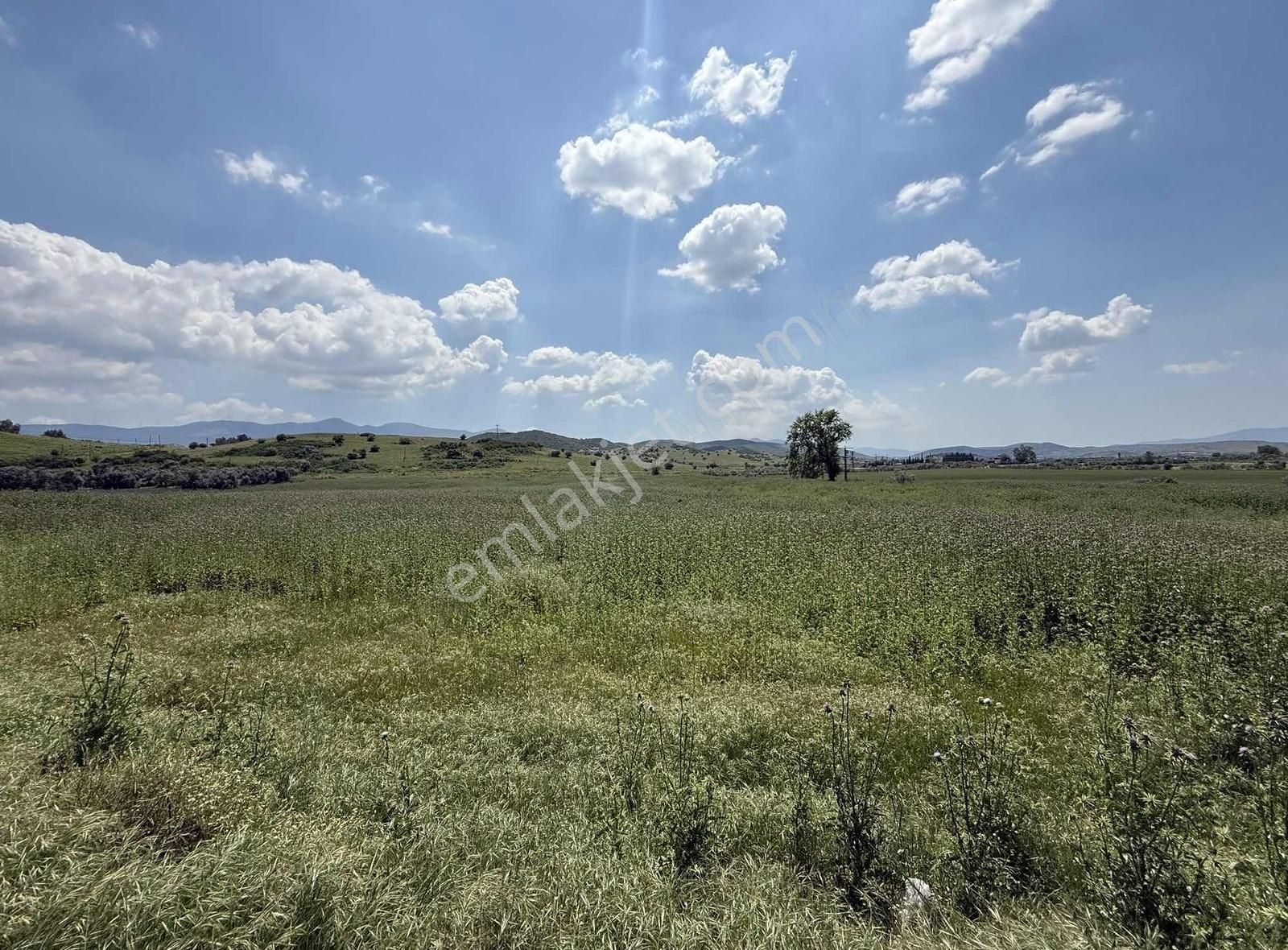 Pek Emlaktan İki Asfalt Yol Arası Tarımsal Depo İmarlı Arazi - Görsel 8
