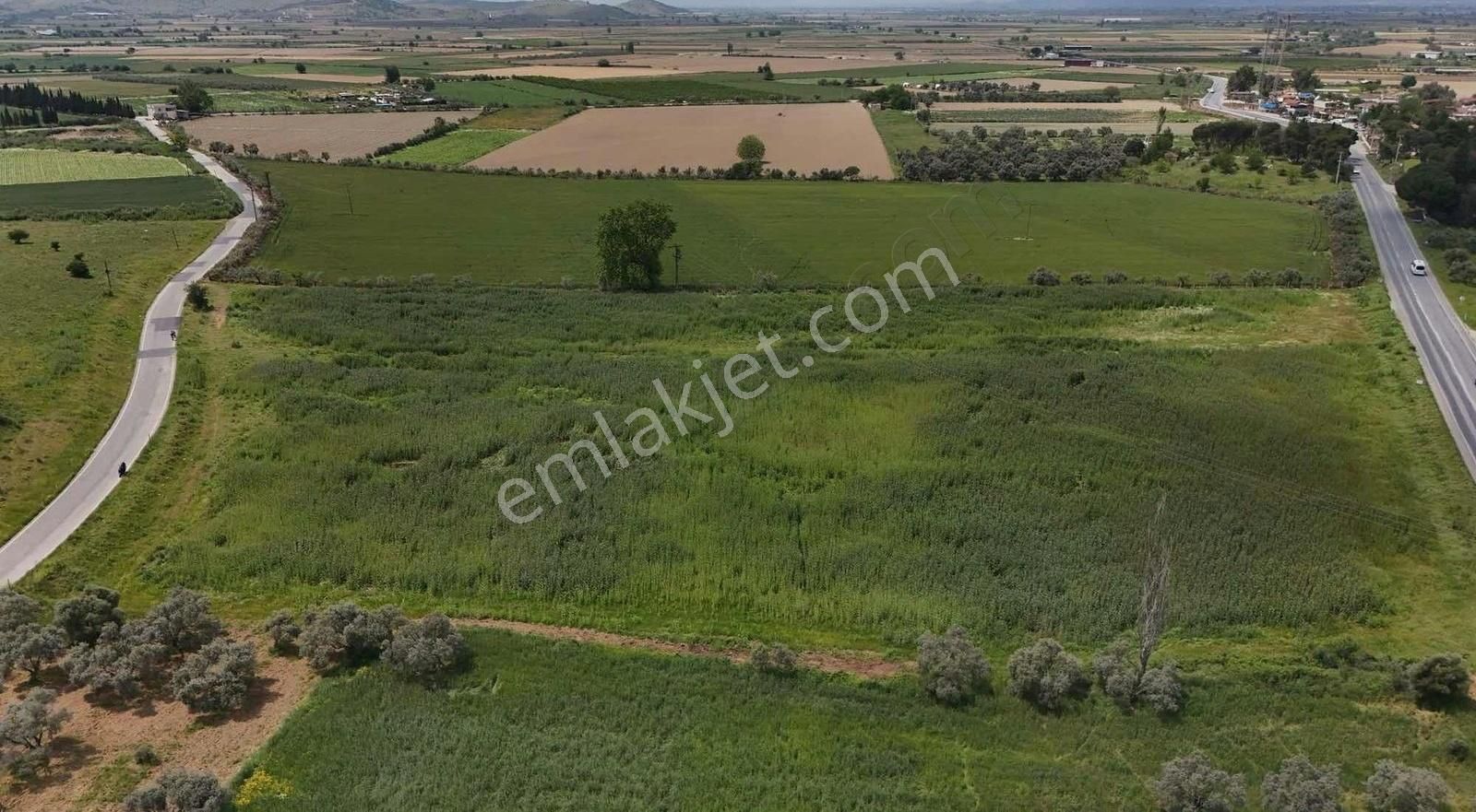 Pek Emlaktan İki Asfalt Yol Arası Tarımsal Depo İmarlı Arazi - Görsel 2