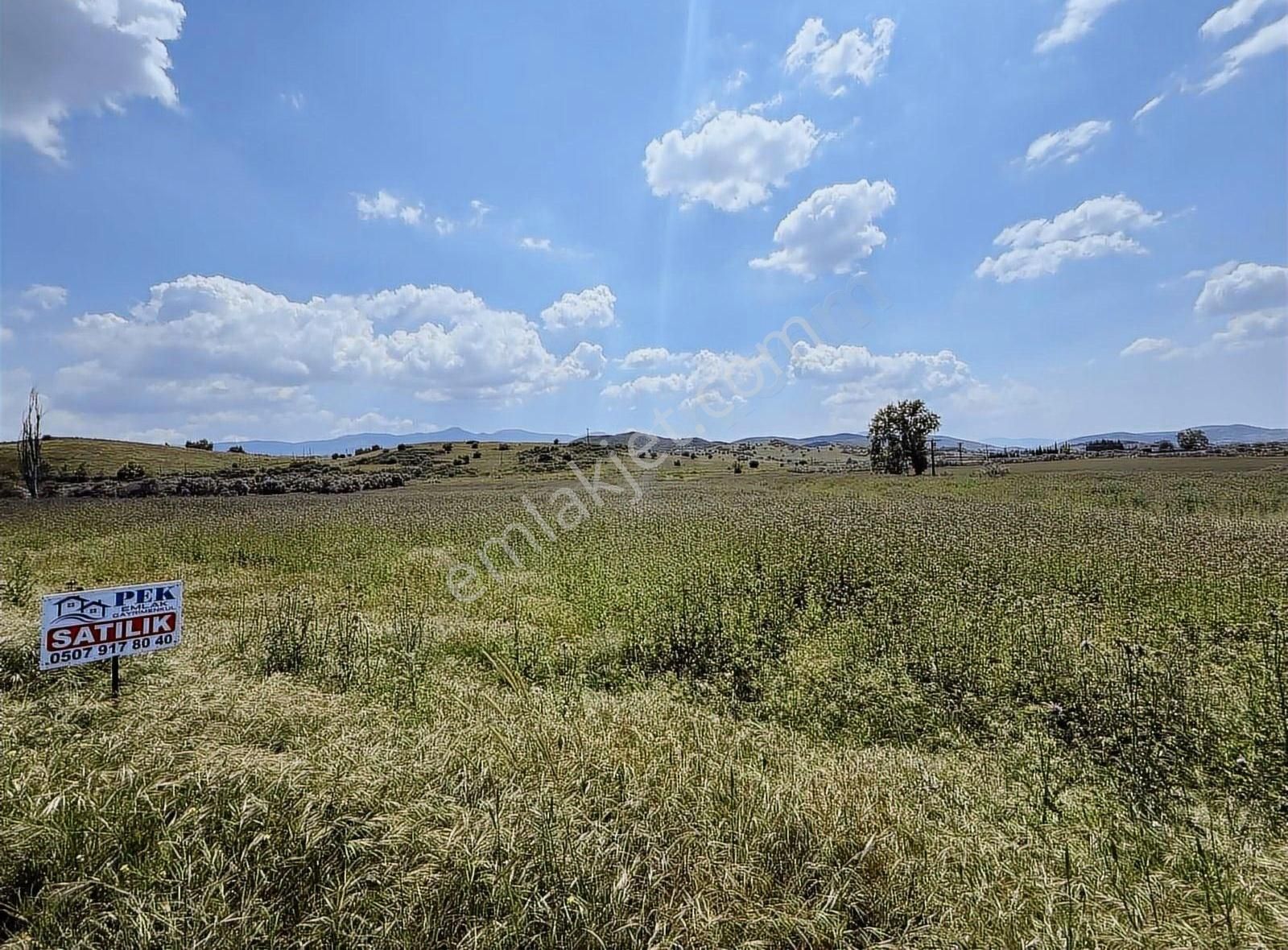 Pek Emlaktan İki Asfalt Yol Arası Tarımsal Depo İmarlı Arazi - Görsel 7