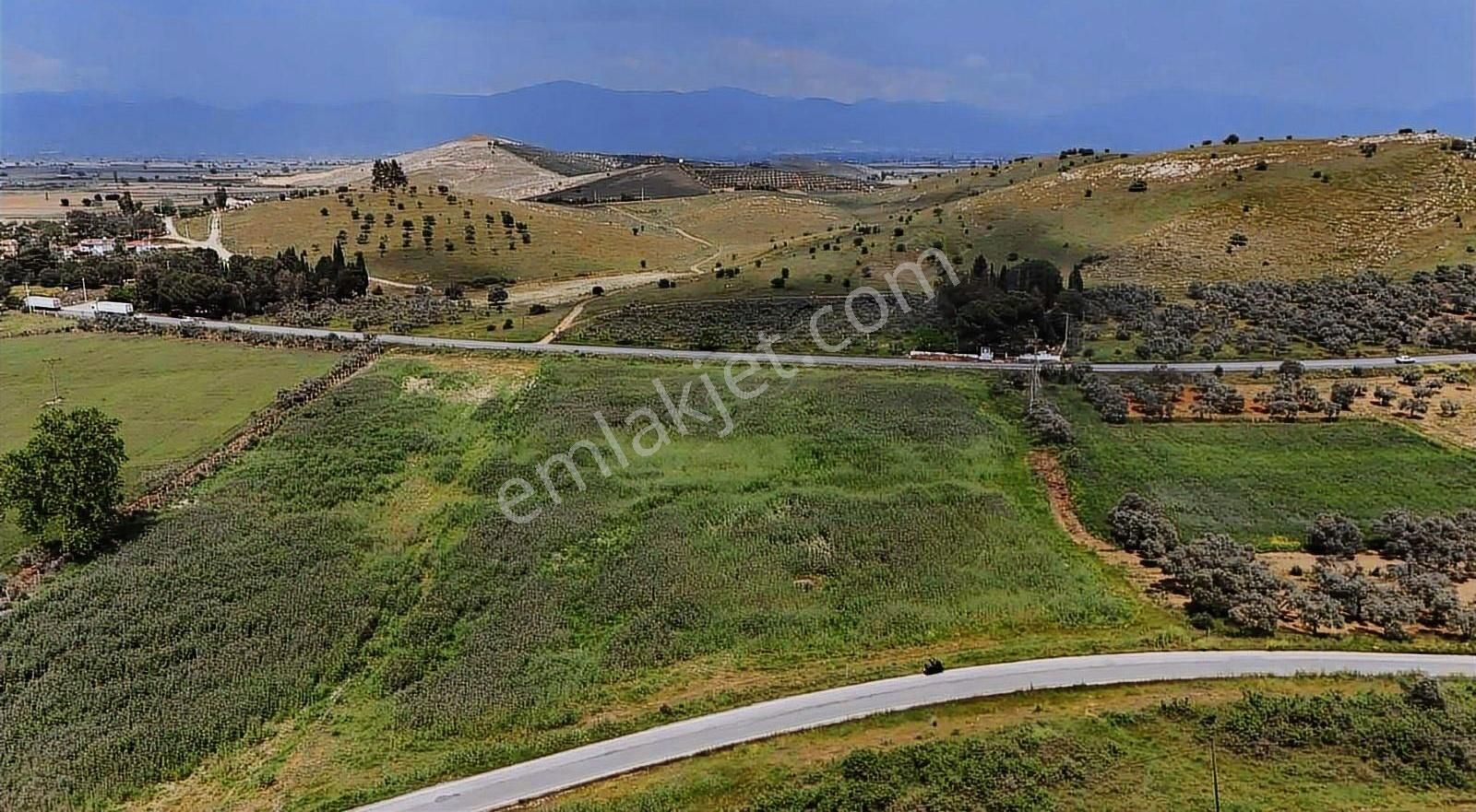 Pek Emlaktan İki Asfalt Yol Arası Tarımsal Depo İmarlı Arazi - Görsel 4