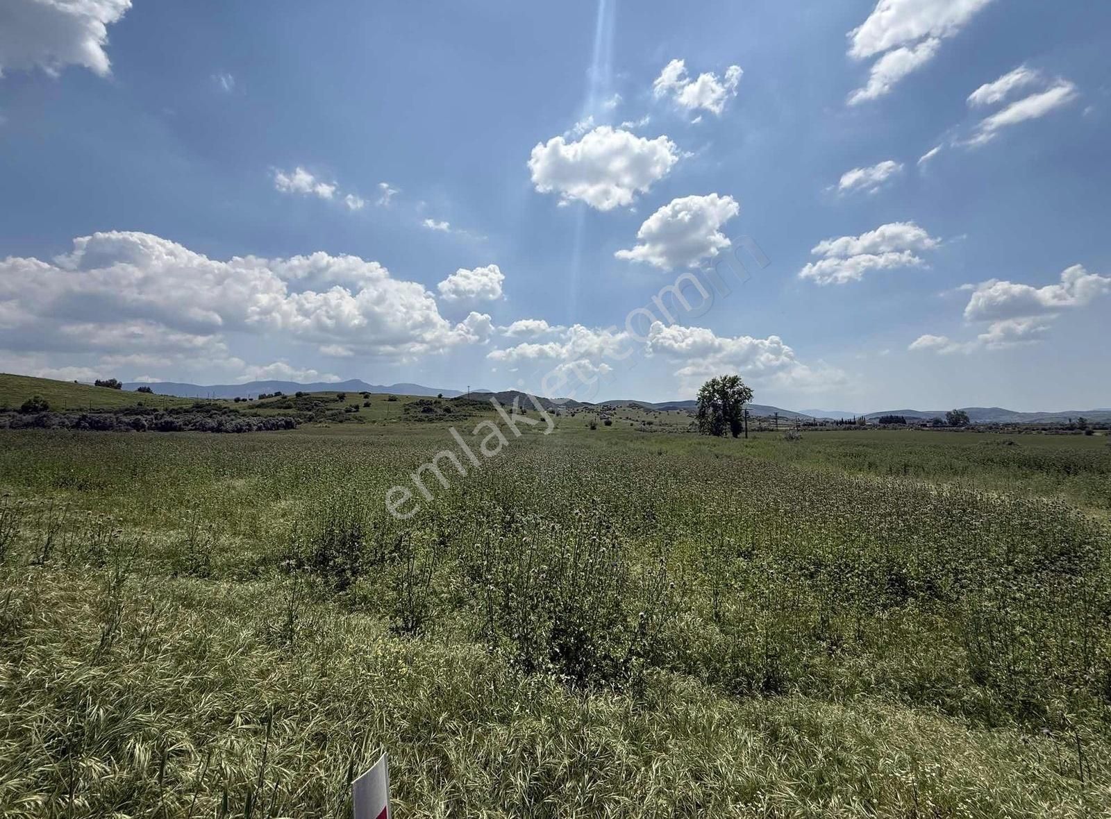 Pek Emlaktan İki Asfalt Yol Arası Tarımsal Depo İmarlı Arazi - Görsel 14
