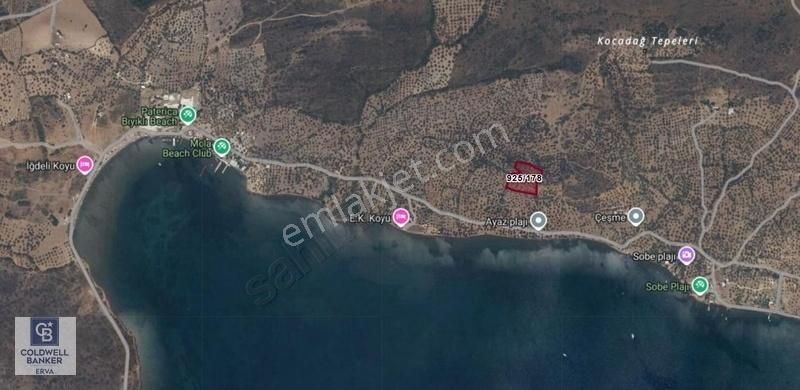 Balıkesir Ayvalık'ta Deniz Manzaralı Satılık Zeytinlik