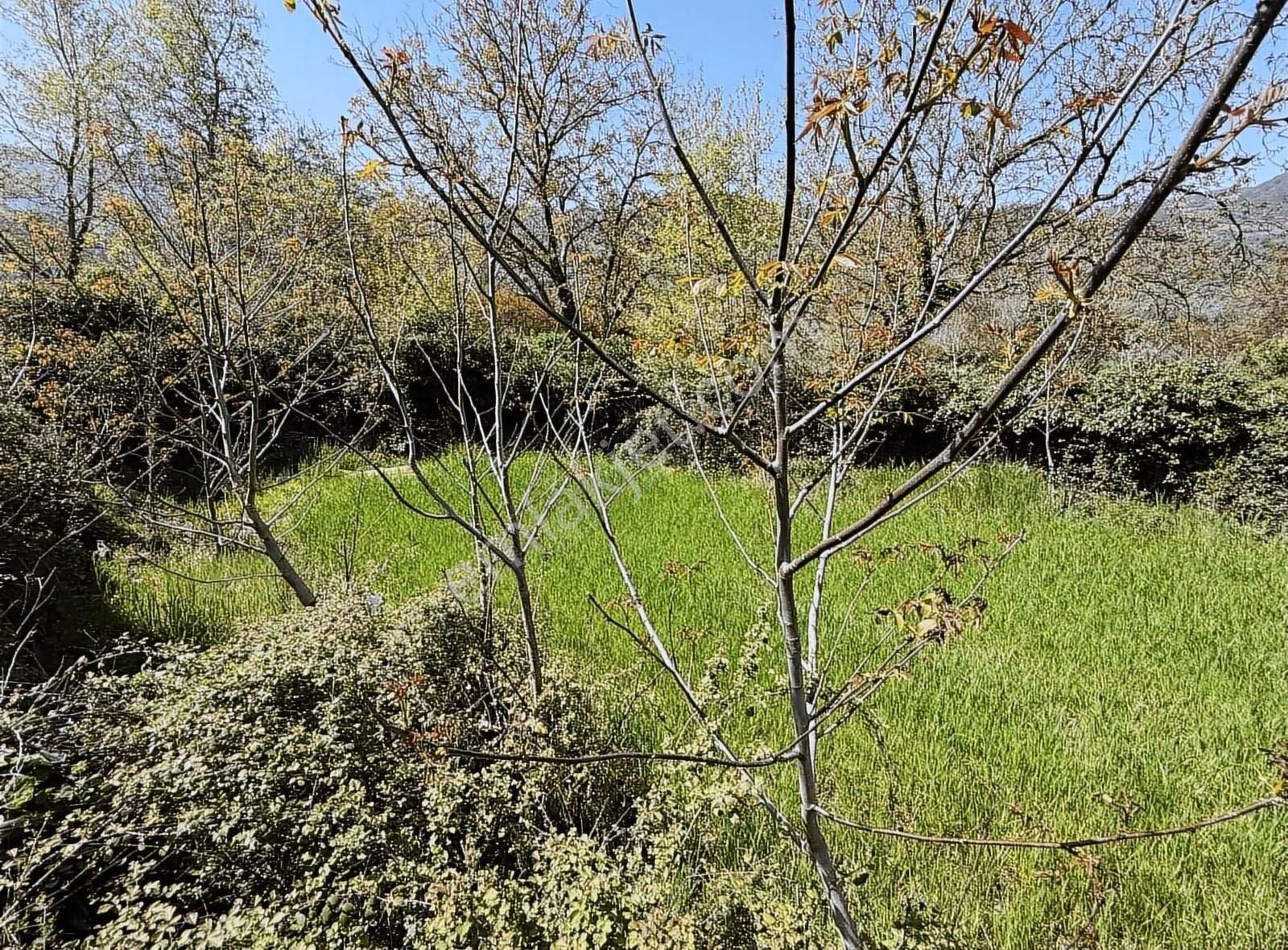 Pek Emlaktan Tire Nin Engüzel Köyü Eğridere De Satılık Bahçe - Görsel 11