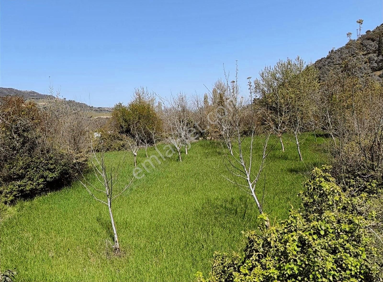 Pek Emlaktan Tire Nin Engüzel Köyü Eğridere De Satılık Bahçe - Görsel 19