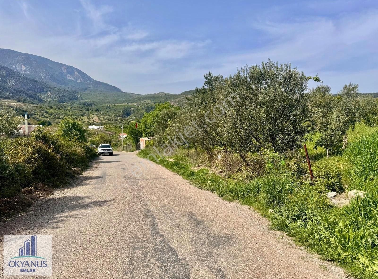 S.kayadibin De 6.550 M2 Tarla , Asfalta Sıfır , Köyün Dibinde