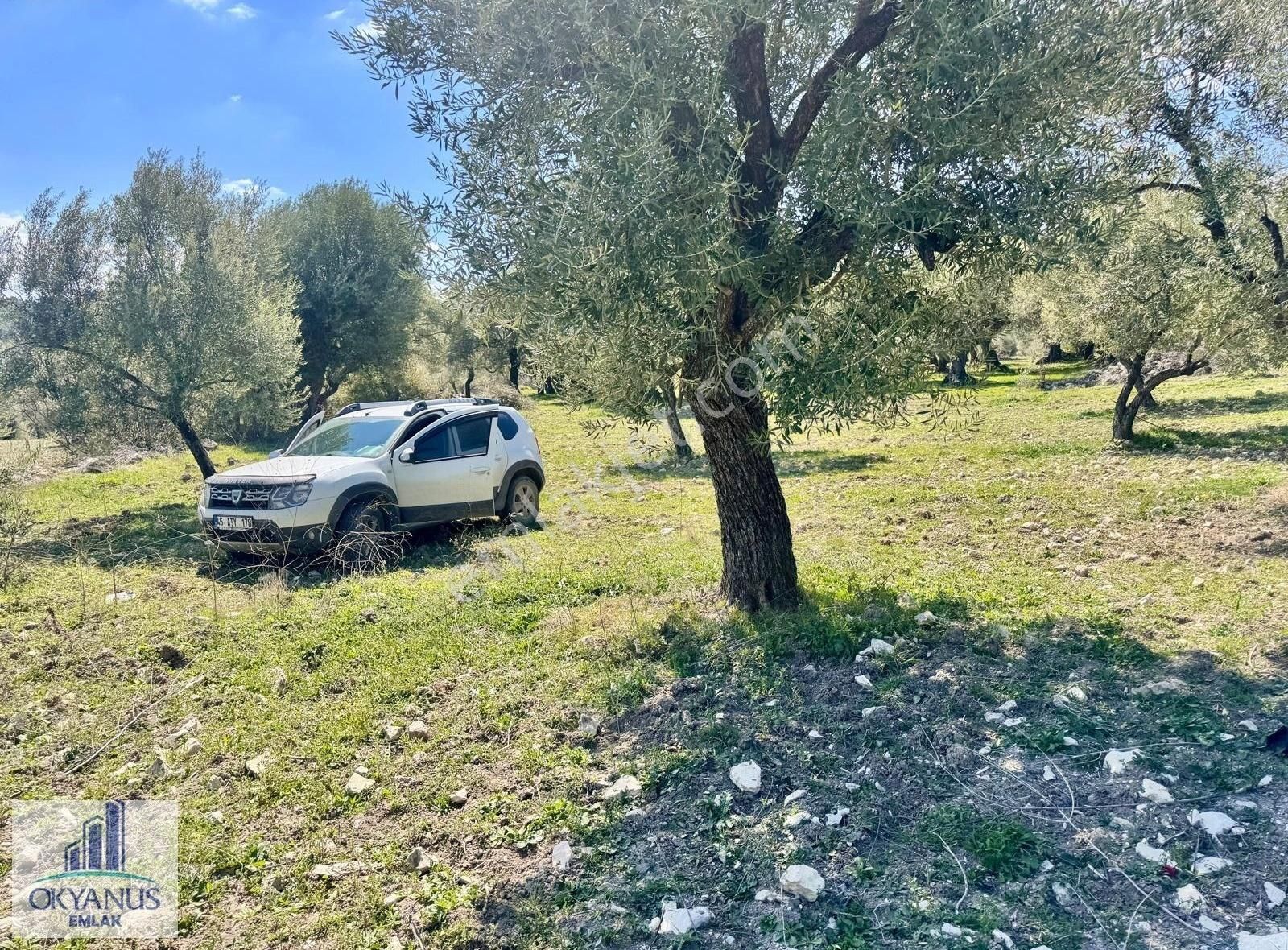 Gökbel De 1.775 M2 Zeytinlik , Tek Tapu , Kullanım Alanı 3 Dönüm