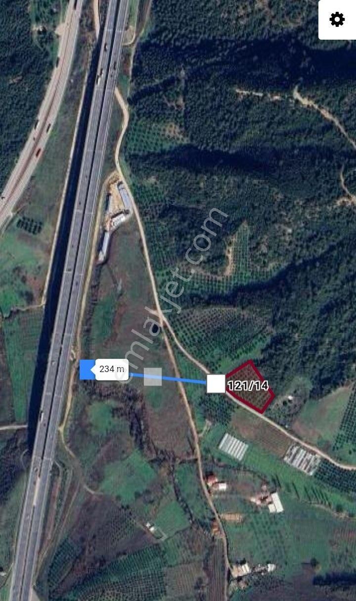 Gemlik Kurtul Göleti Mesire Alanı Ve Otobana Cephe Kaçmaz Fırsat Zeytinlik - Görsel 3