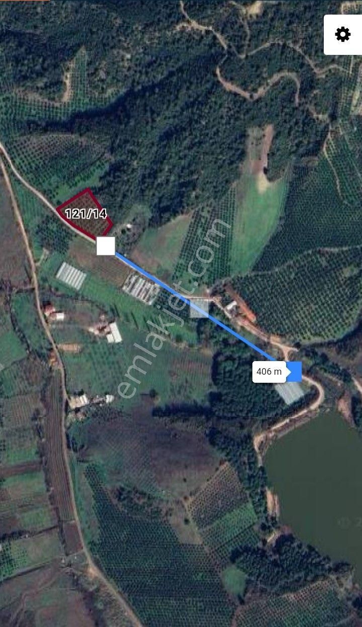 Gemlik Kurtul Göleti Mesire Alanı Ve Otobana Cephe Kaçmaz Fırsat Zeytinlik