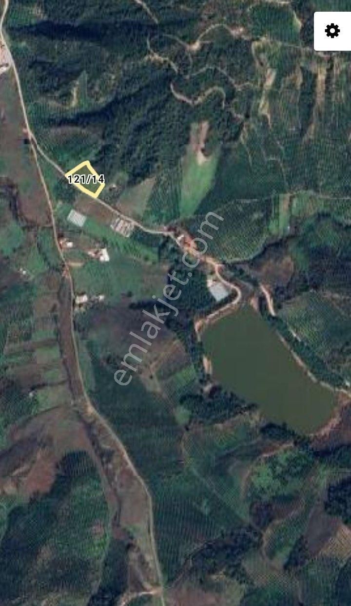 Gemlik Kurtul Göleti Mesire Alanı Ve Otobana Cephe Kaçmaz Fırsat Zeytinlik - Görsel 5