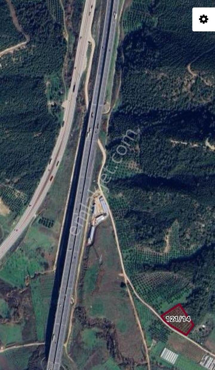 Gemlik Kurtul Göleti Mesire Alanı Ve Otobana Cephe Kaçmaz Fırsat Zeytinlik - Görsel 4