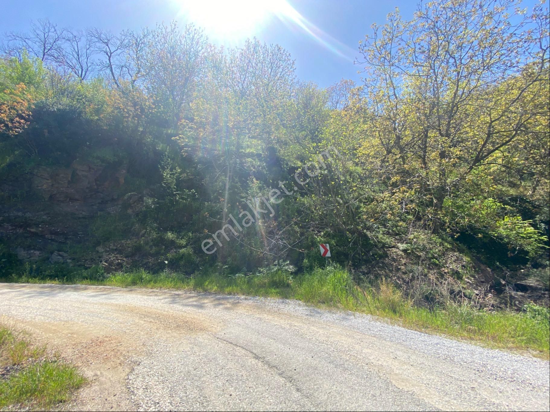 Doğanay Emlktan İzmir Tire Dallık Ta İmar İzinli Cevizlik - Görsel 19