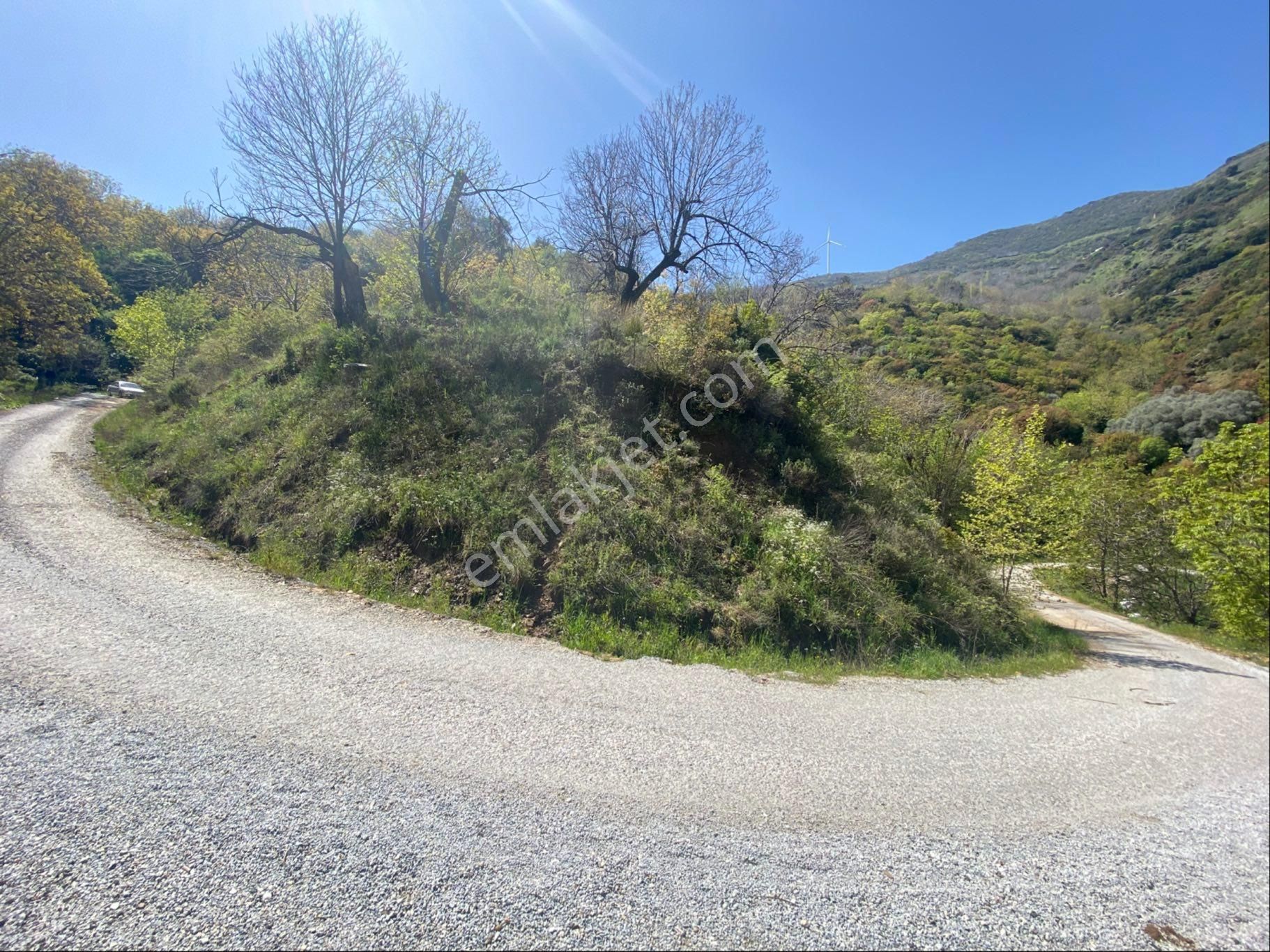 Doğanay Emlktan İzmir Tire Dallık Ta İmar İzinli Cevizlik - Görsel 7