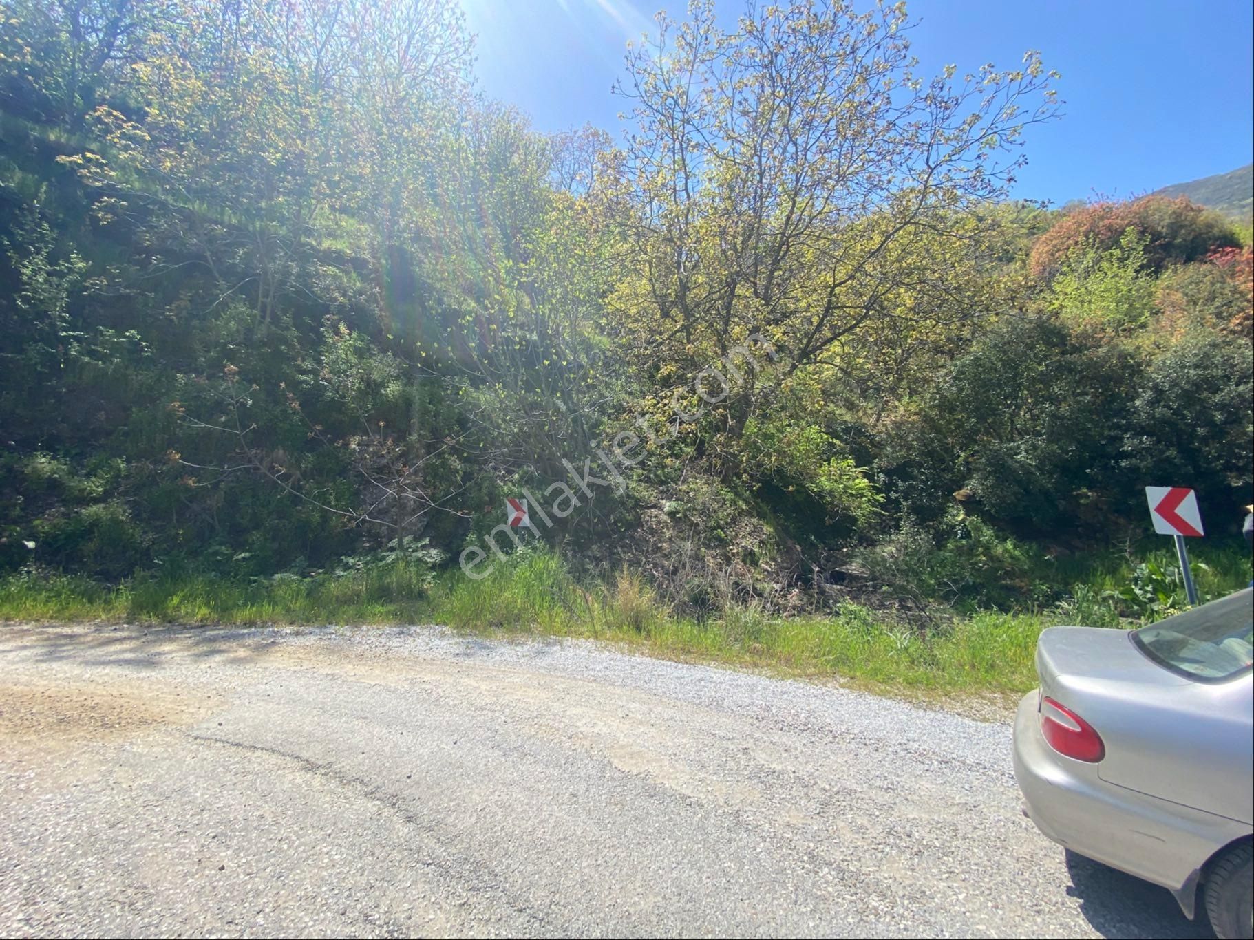 Doğanay Emlktan İzmir Tire Dallık Ta İmar İzinli Cevizlik - Görsel 20