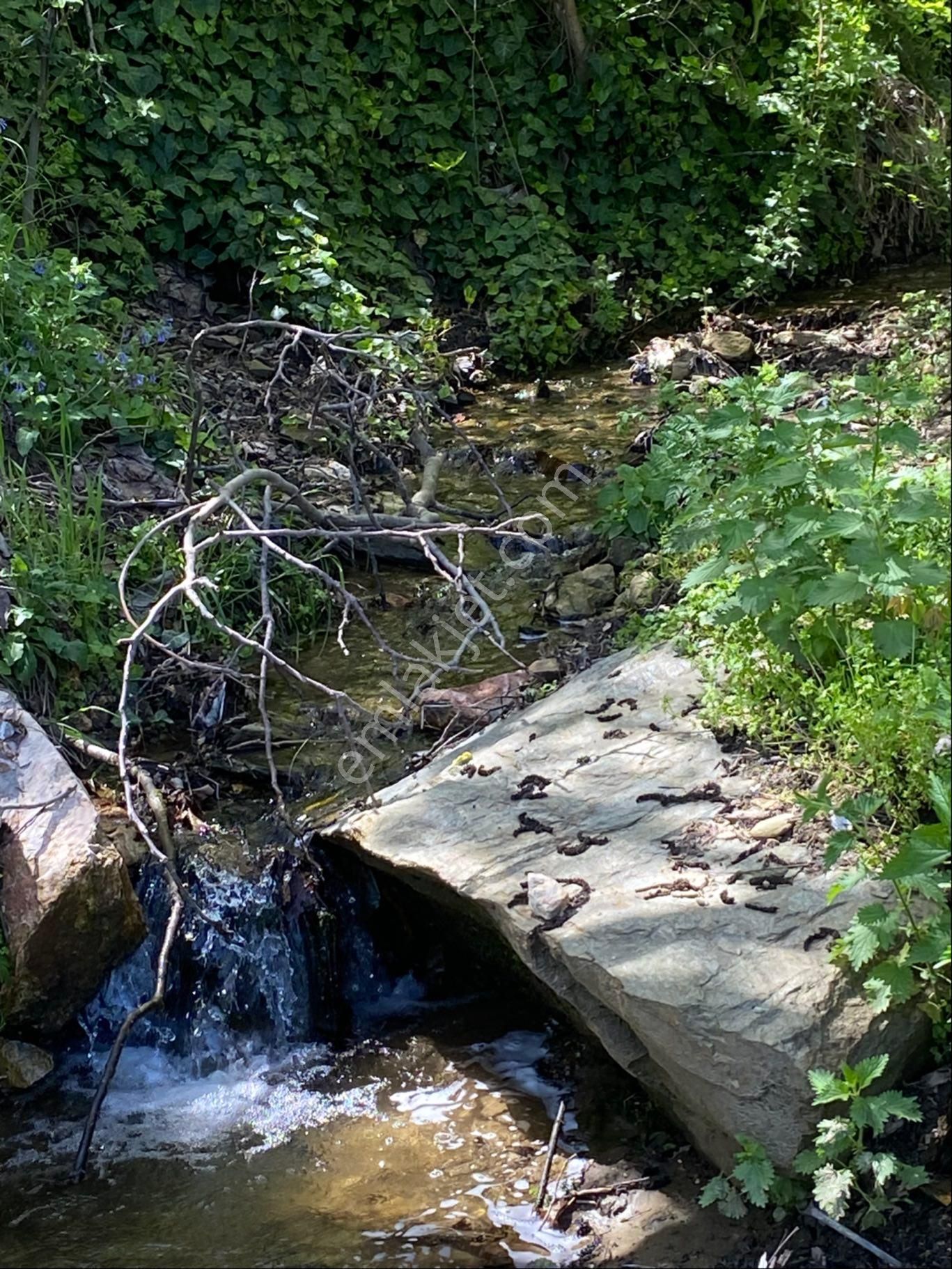 Doğanay Emlktan İzmir Tire Dallık Ta İmar İzinli Cevizlik - Görsel 16