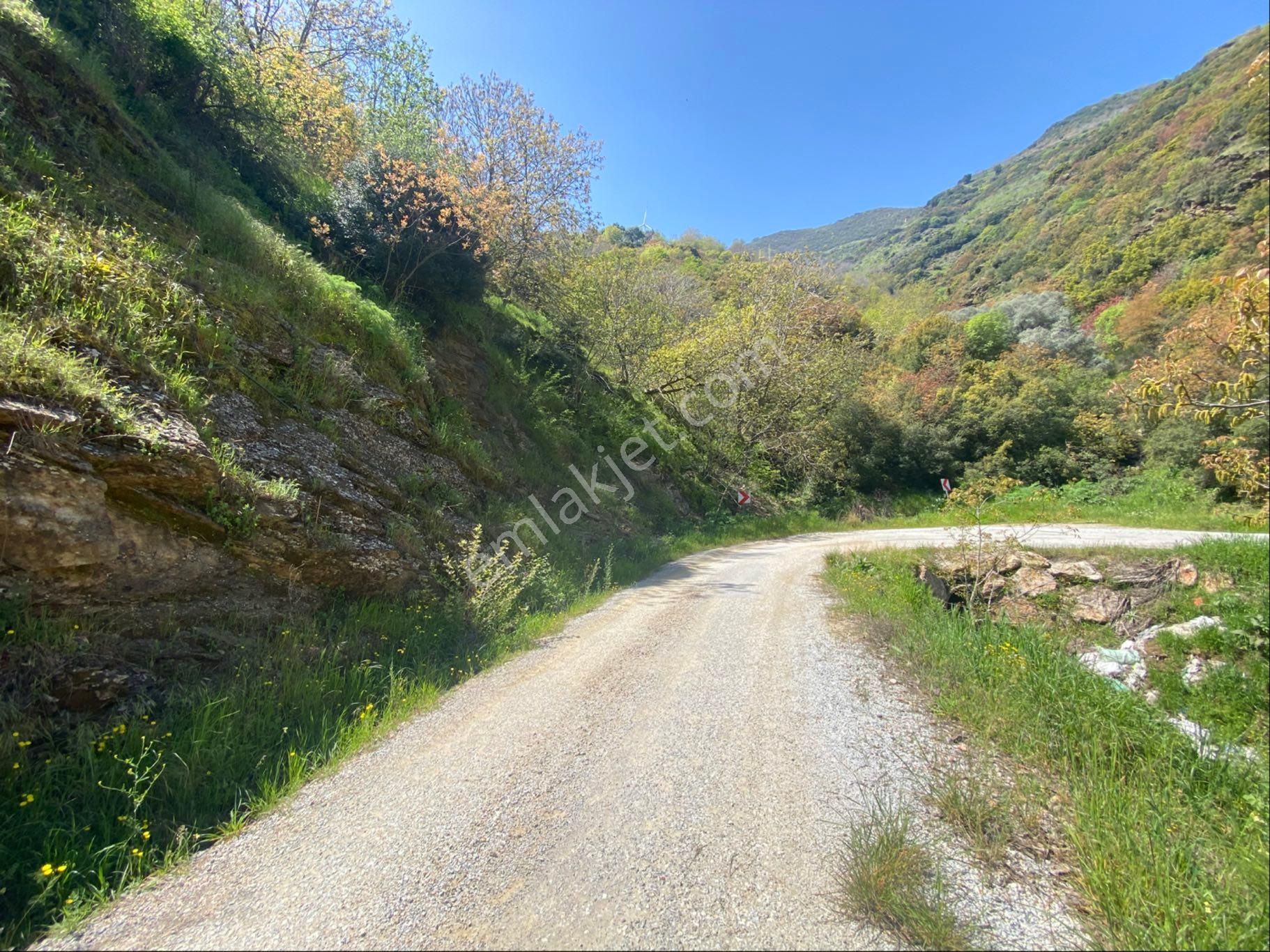 Doğanay Emlktan İzmir Tire Dallık Ta İmar İzinli Cevizlik - Görsel 5