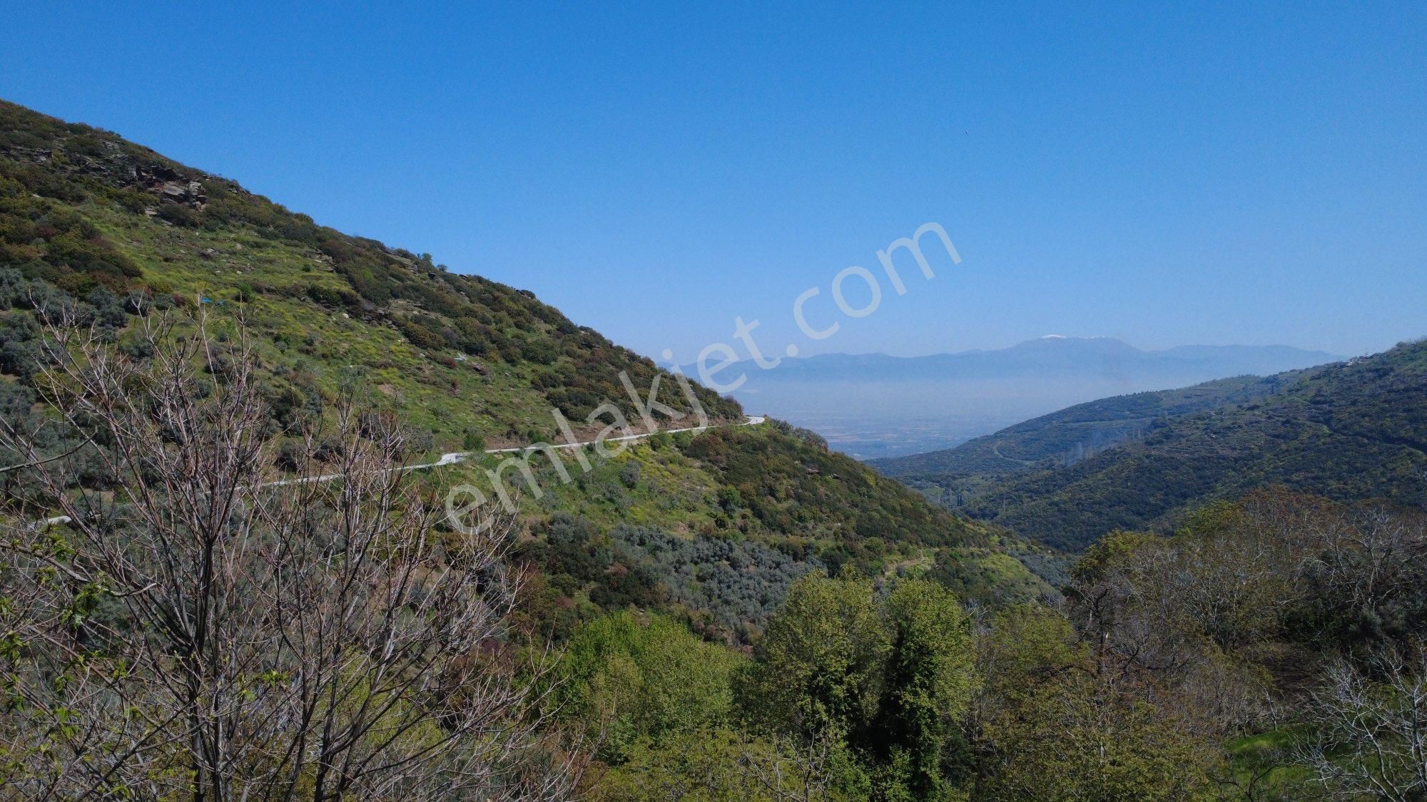Doğanay Emlktan İzmir Tire Dallık Ta İmar İzinli Cevizlik - Görsel 14