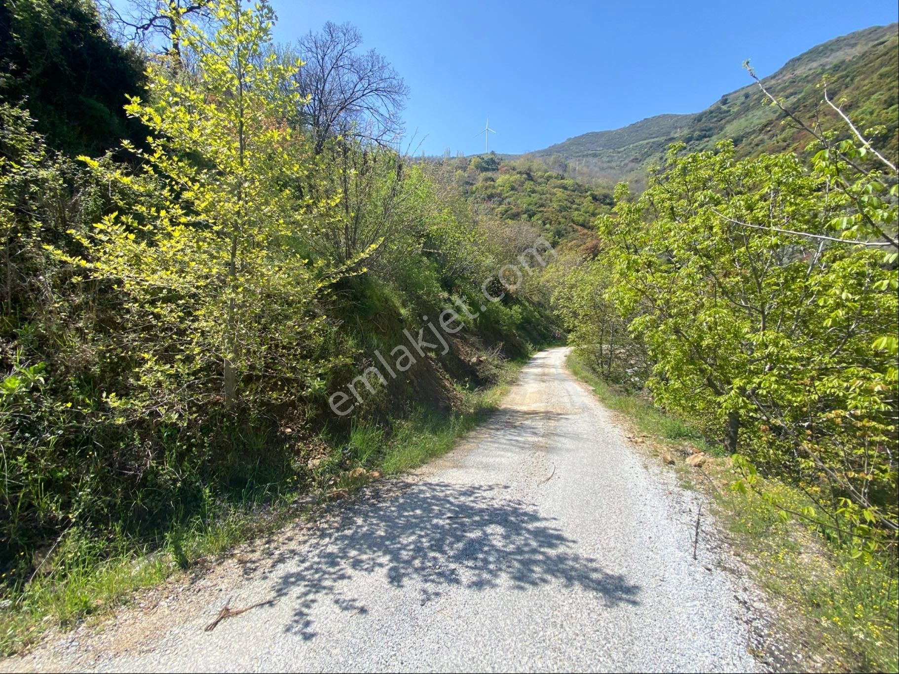 Doğanay Emlktan İzmir Tire Dallık Ta İmar İzinli Cevizlik - Görsel 3
