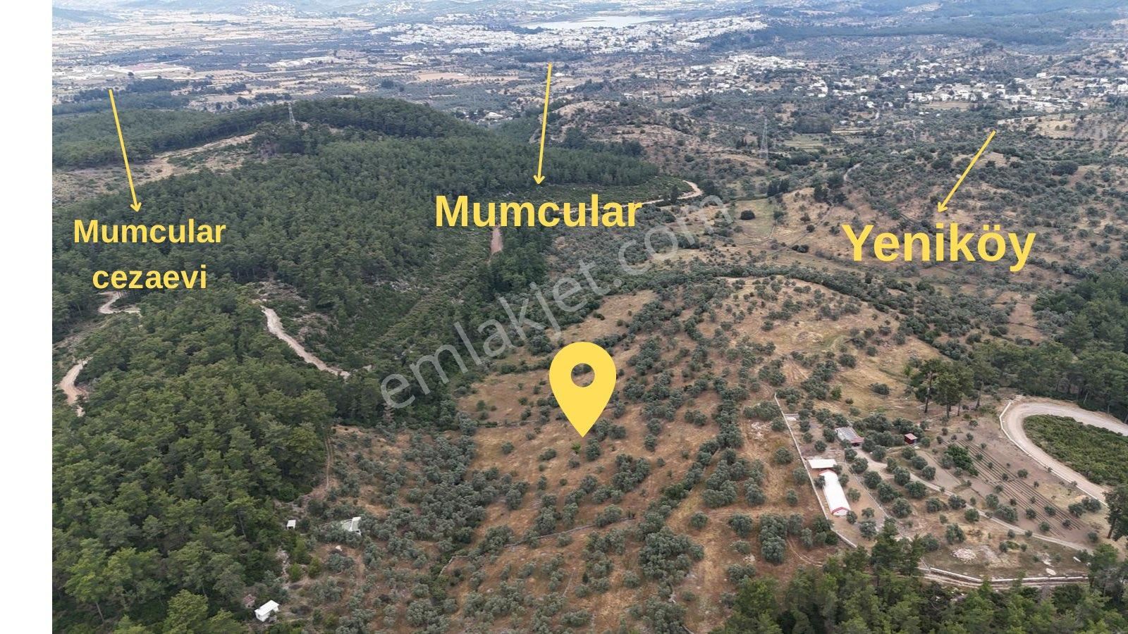 Doğadan Bodrum Mumcular Yeniköy Fırsat Denize 10 Dk Yatırımlık Arazi