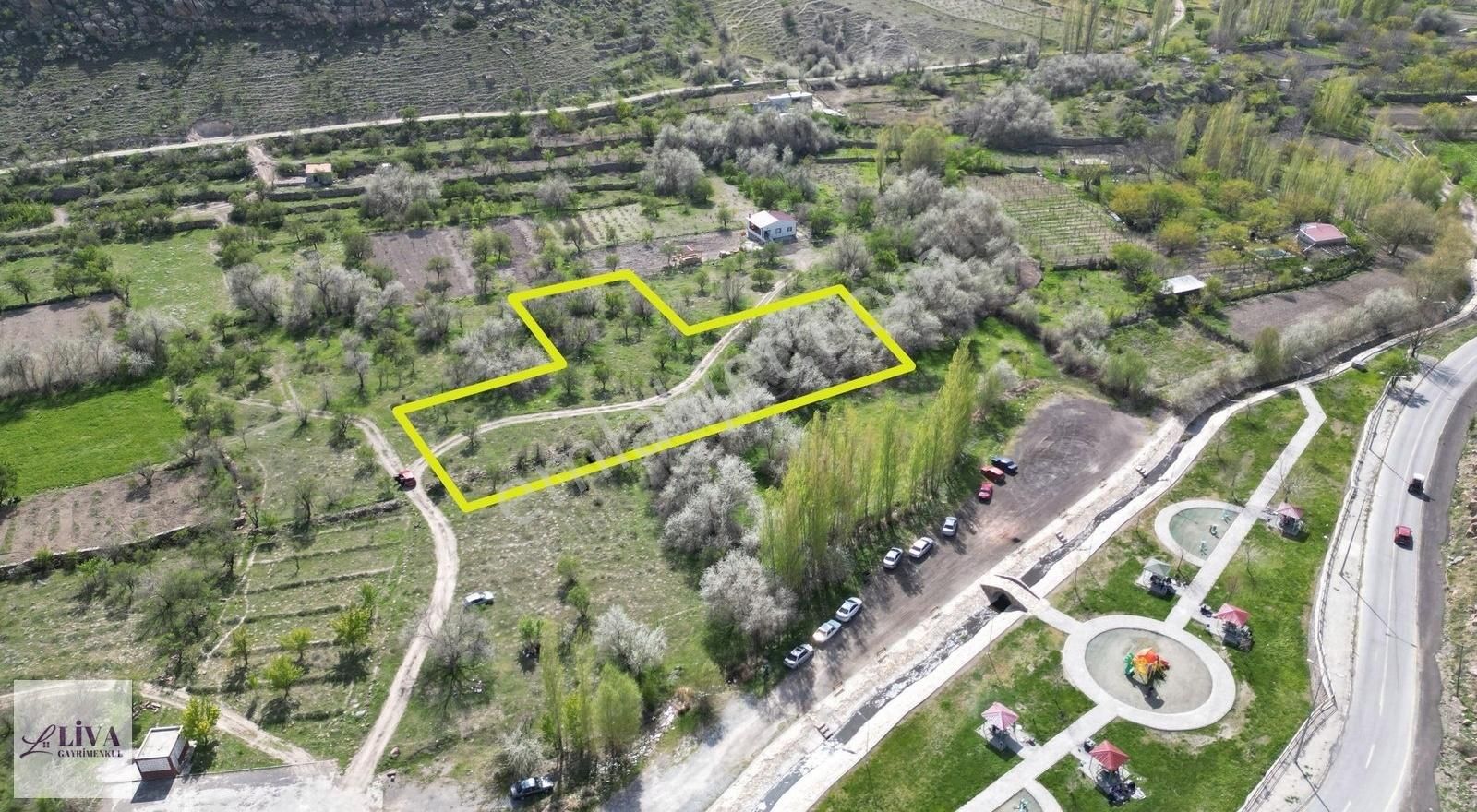Liva'dan İncesu'da 3300 M² Tek Tapu Bağ