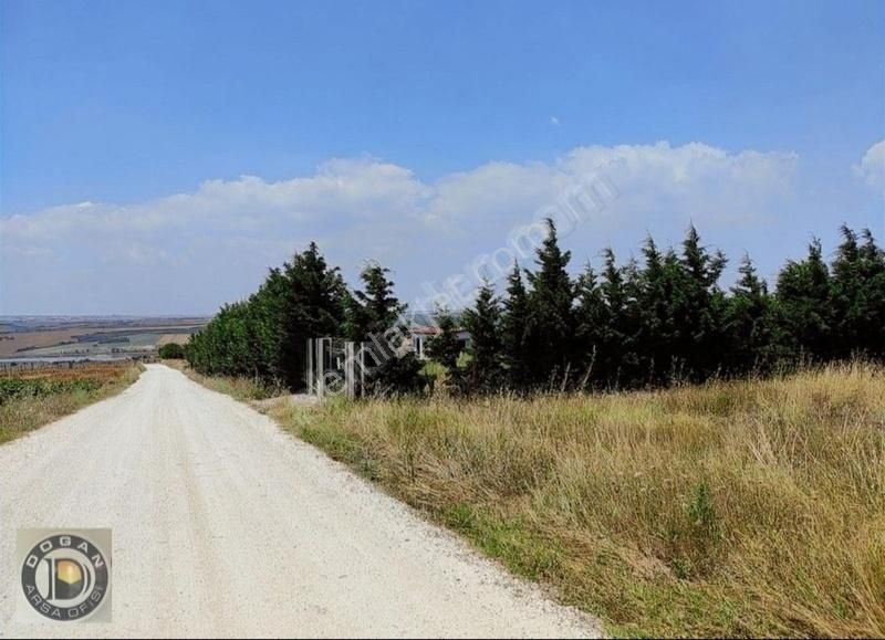 Tarla Filan Değil İmarlı İfrazlı 263 Metre Kelepir Arsa - Görsel 22