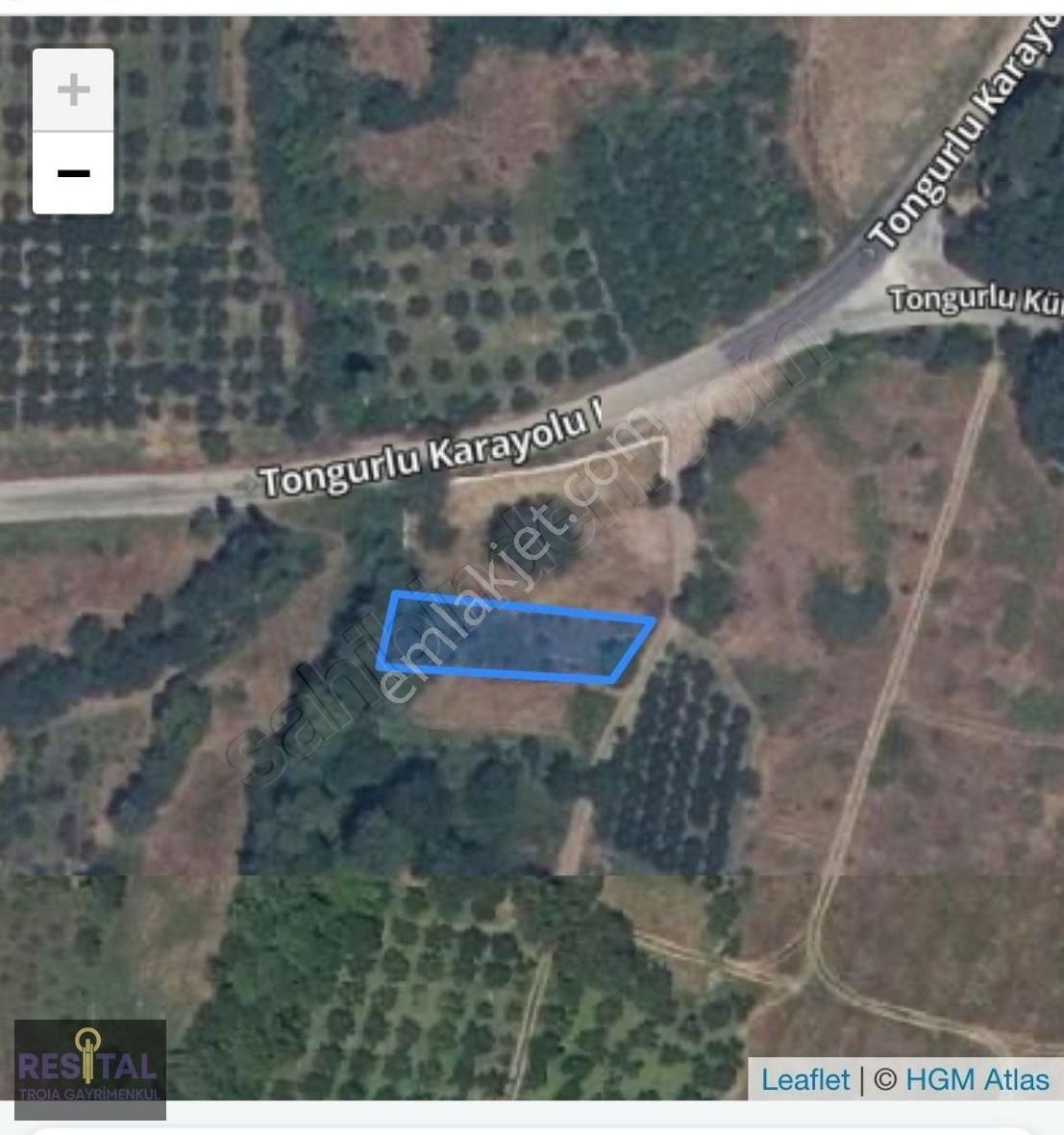 Çanakkale Bayramiç Kazdağları Tongurlu Köyünde 472 M2
