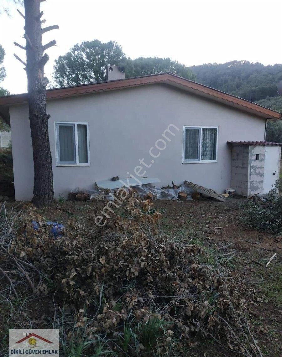 Dikili Kıroba Köyünde Satılık 3650 M2 Zeytinlik İçerisinde 90m2 Çiftlik Evi - Görsel 3