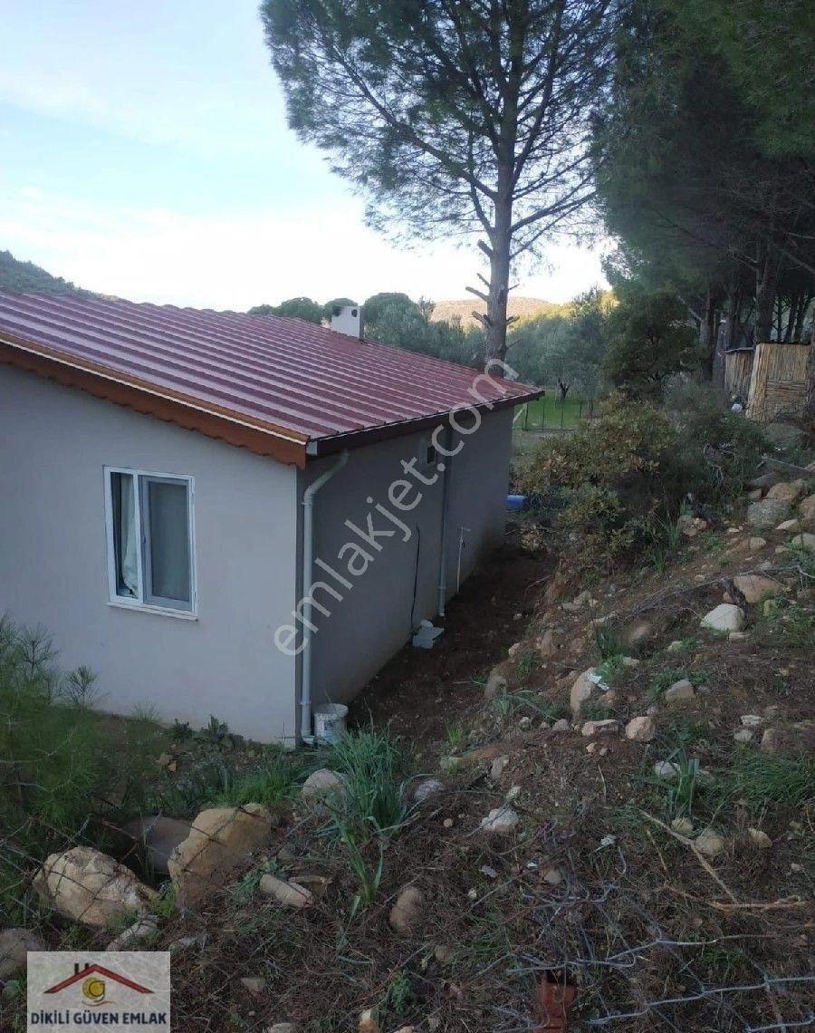 Dikili Kıroba Köyünde Satılık 3650 M2 Zeytinlik İçerisinde 90m2 Çiftlik Evi - Görsel 4