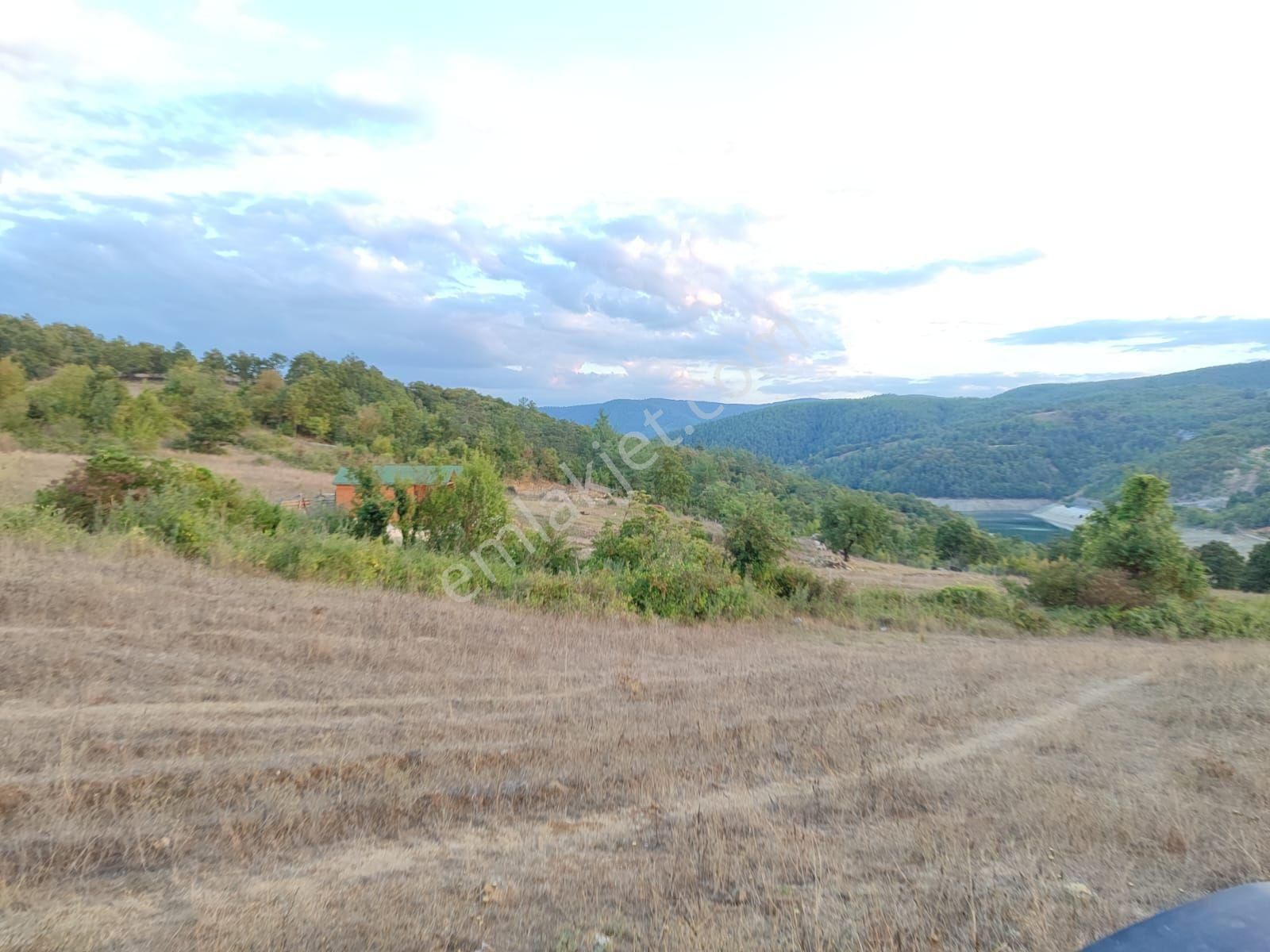 Orhaneli Çınarcık'ta Satılık 6318mt2 Tarla