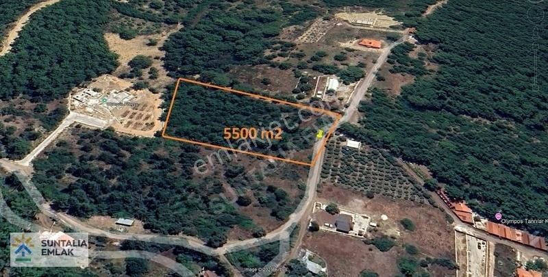 Olimpos Yazır Da Muhteşem Yatırımlık Tarla