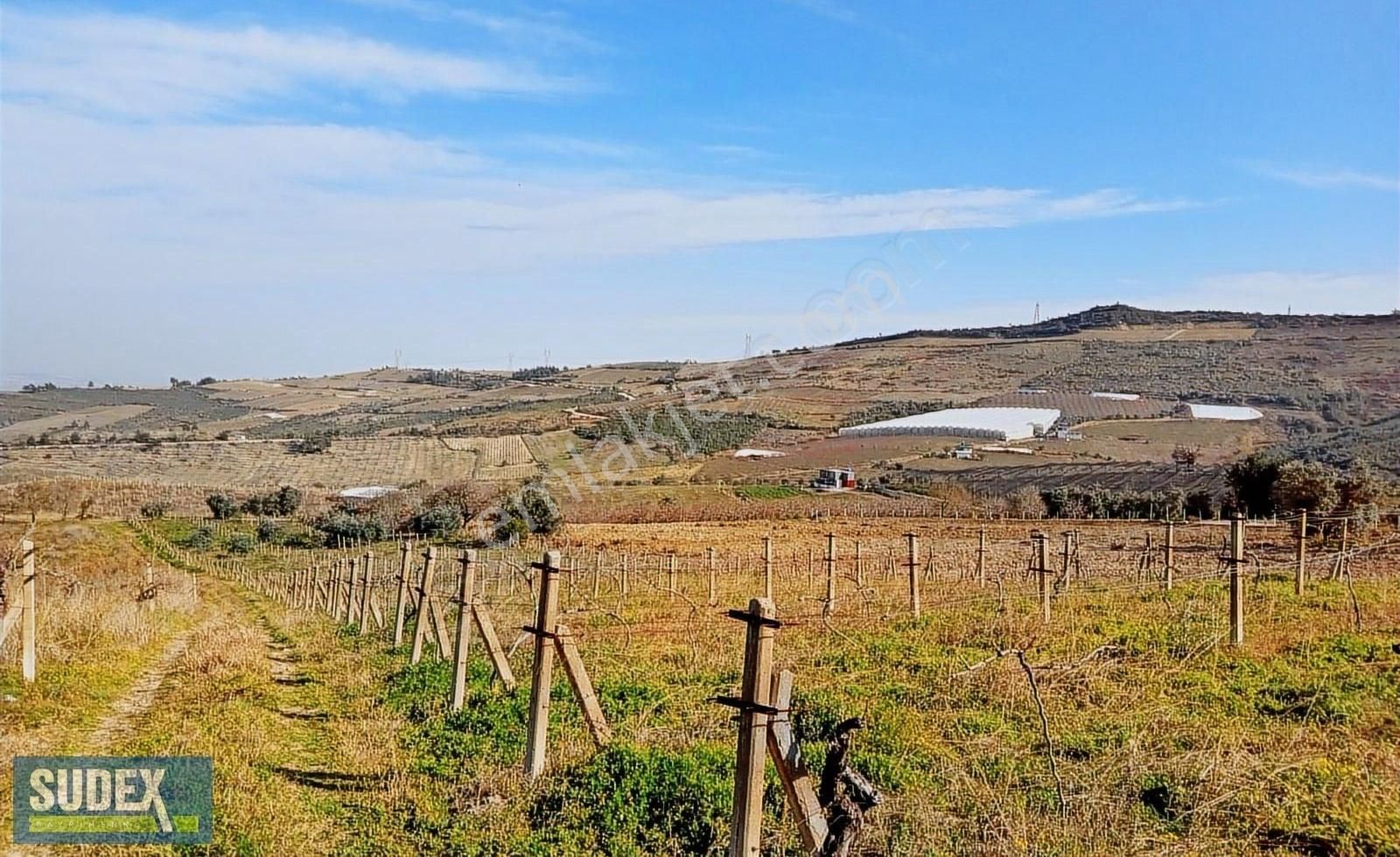 Doruklu Da Satılık 4940 M2 Tarla