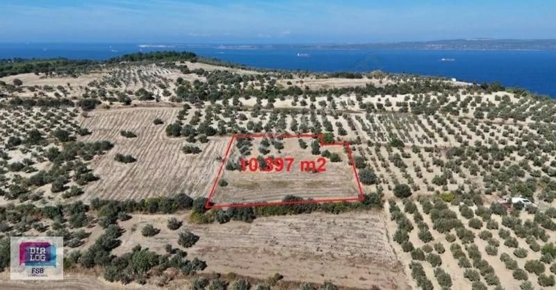 Çanakkale Merkez İntepe 10 Dönüm Muhteşem Tarla...