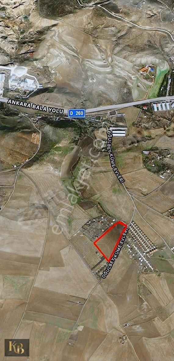 Oğulbey Satılık 35 Dönüm Tek Tapu(kök) Harika Konum İmara Yakın