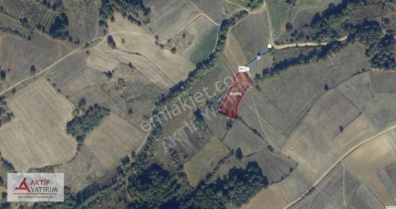 Kandıra Gıda Organizeye 1 Km Yakınlıkta Yatırımlık 1978 M2 Tarla