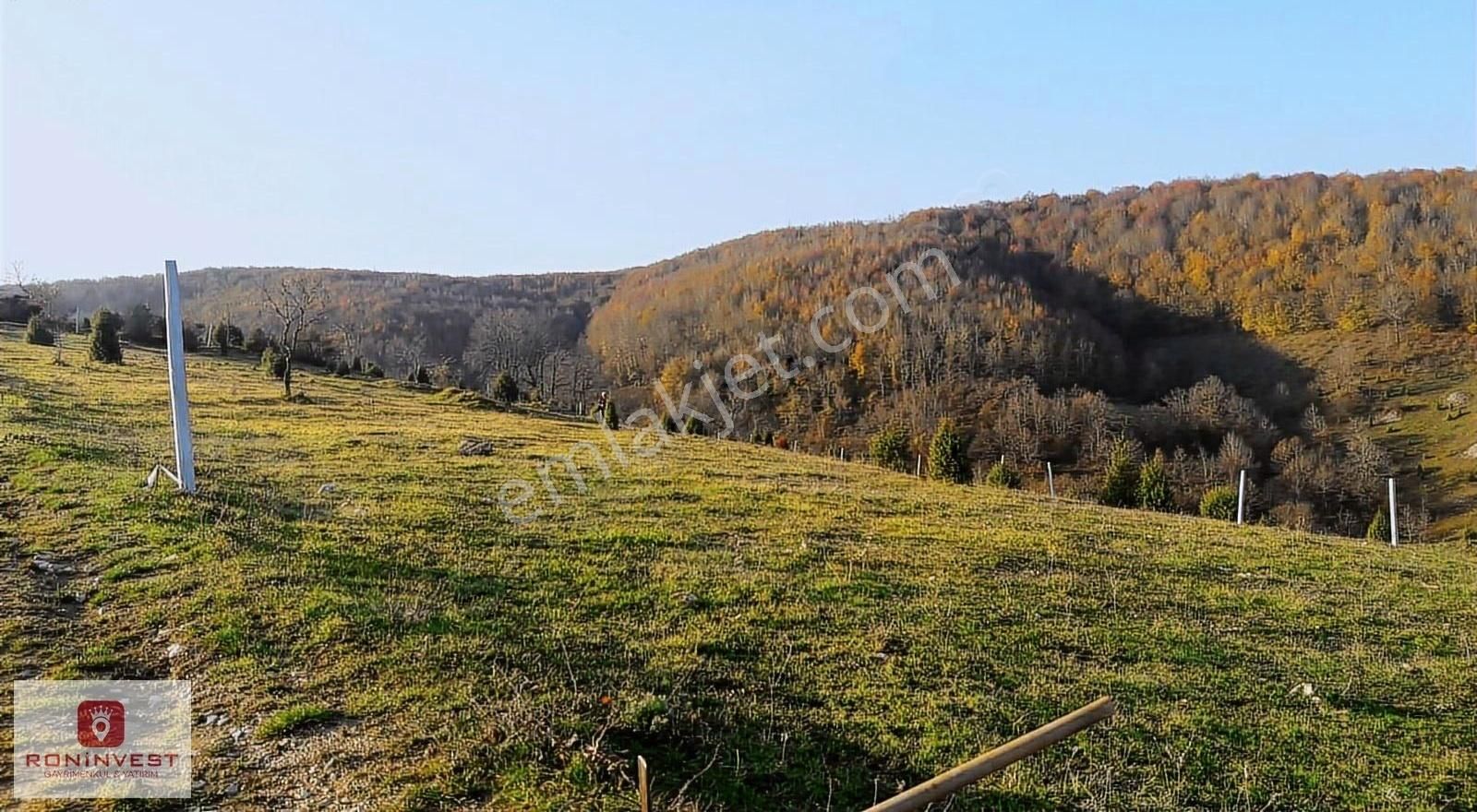 Kandıra Çalyerde; Kadastrol Yollu, Müstakil Parsel, 4.2 Dönüm