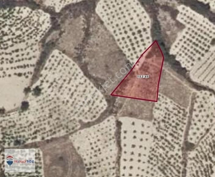 Ürgüp Sofularda 732 M2 Satılık Bağ Yeri