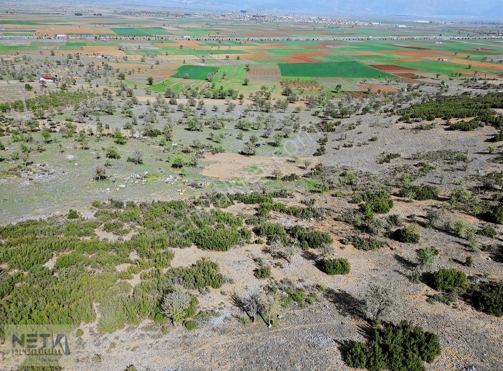 Net Premium'dan Yassıhöyük'de Müthiş Manzaralı Hobi Bahçesi