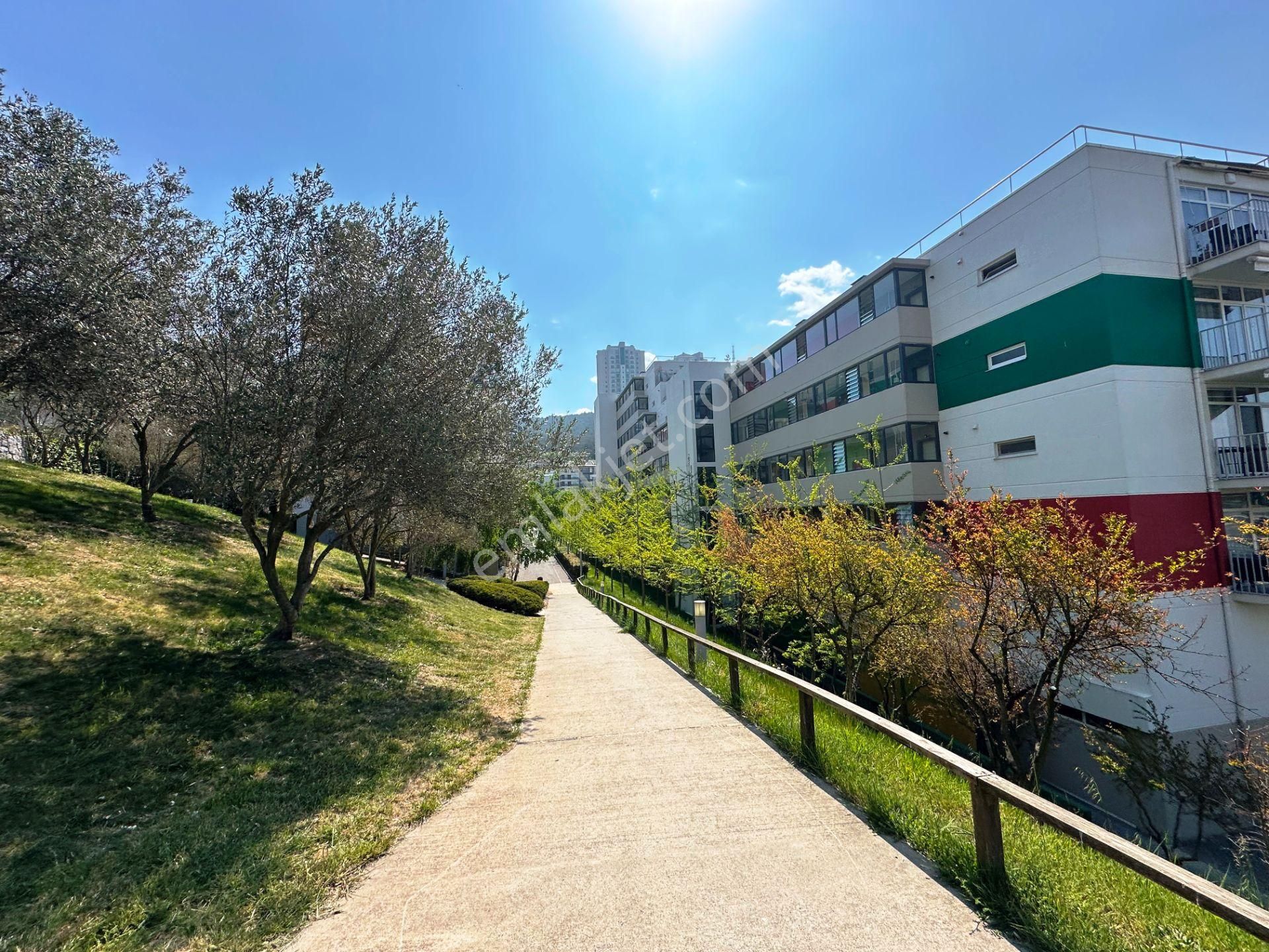 Maltepe Narcity'de 2.kat Güney Cephe Balkonlu 72m2 Satılık 1+1