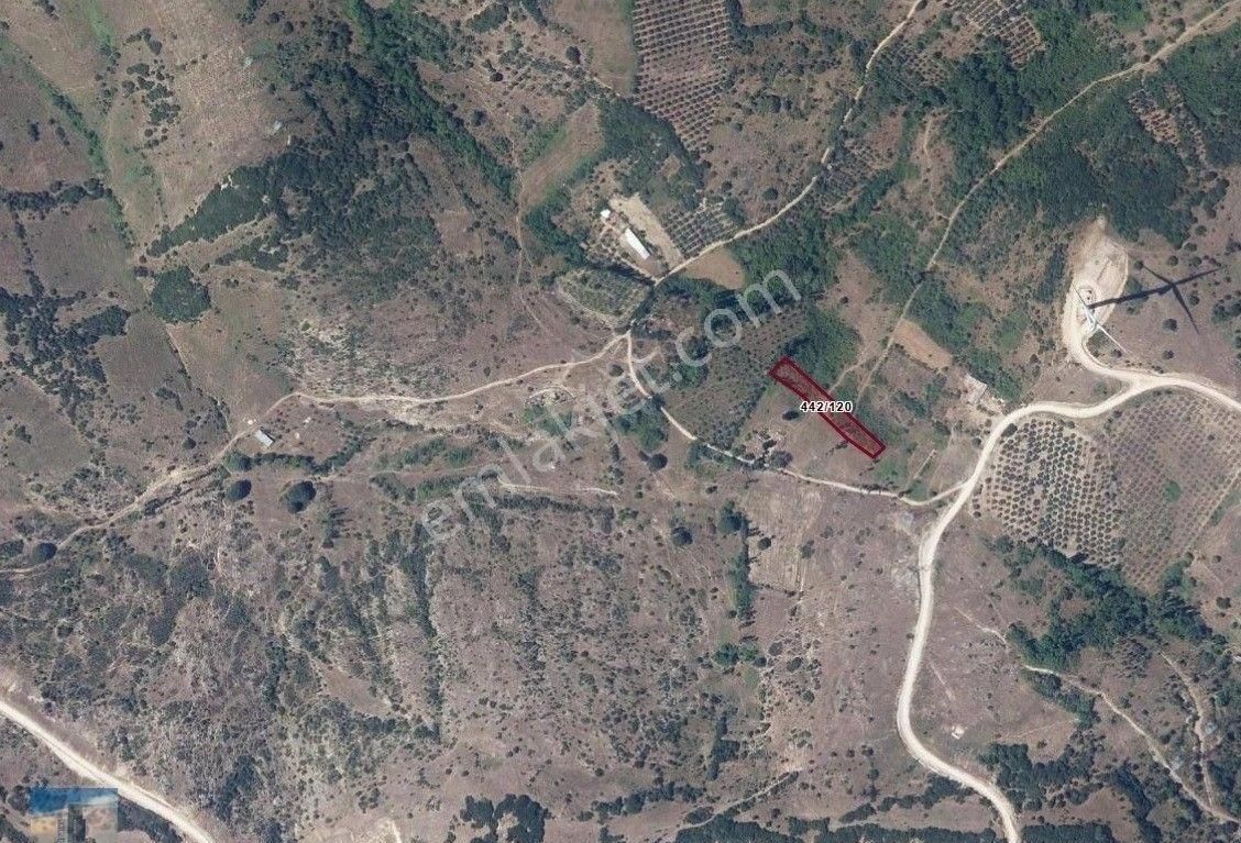 S1029 Ayhan Gezer Emlakta Edincik Mh 1613m2 Satılık Tarla Ve Bağ
