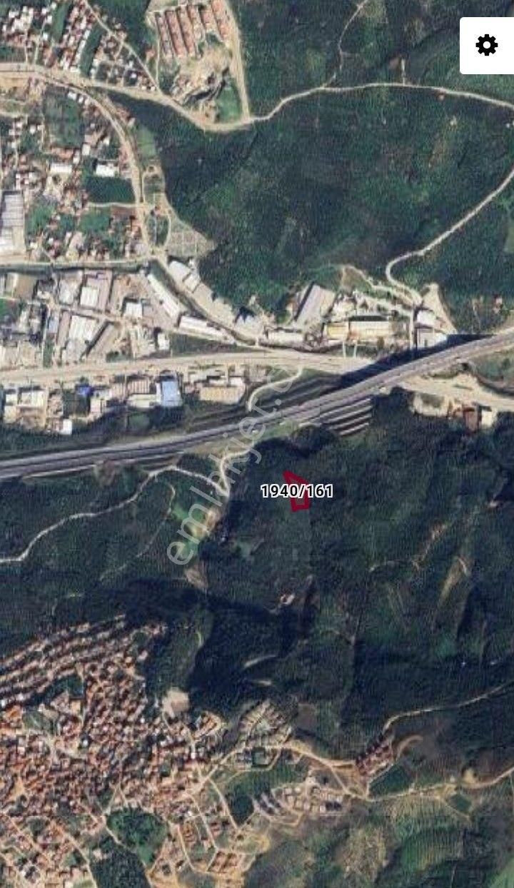 Umurbey Süper Lokasyon, Süper Fiyat Satılık Zeytinlik - Görsel 8