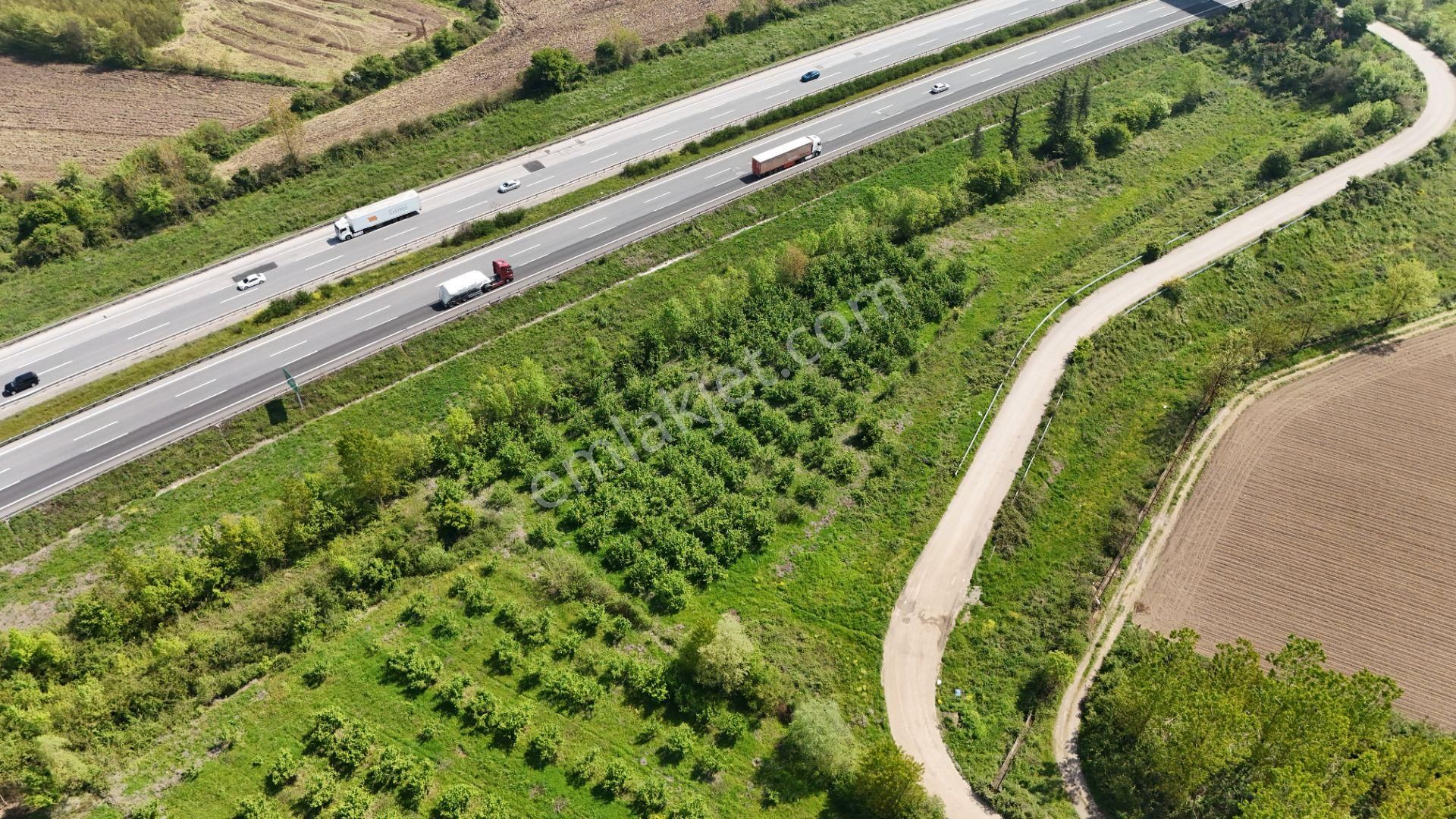 Düzce Merkez Yayakbaşı Köyü Satılık 1628 M² Arsa