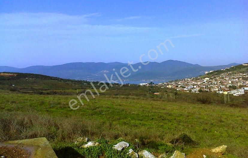 Bandırma Edincik 455m2 Tiny House Bungalov'a Uygun Satılık Arsa