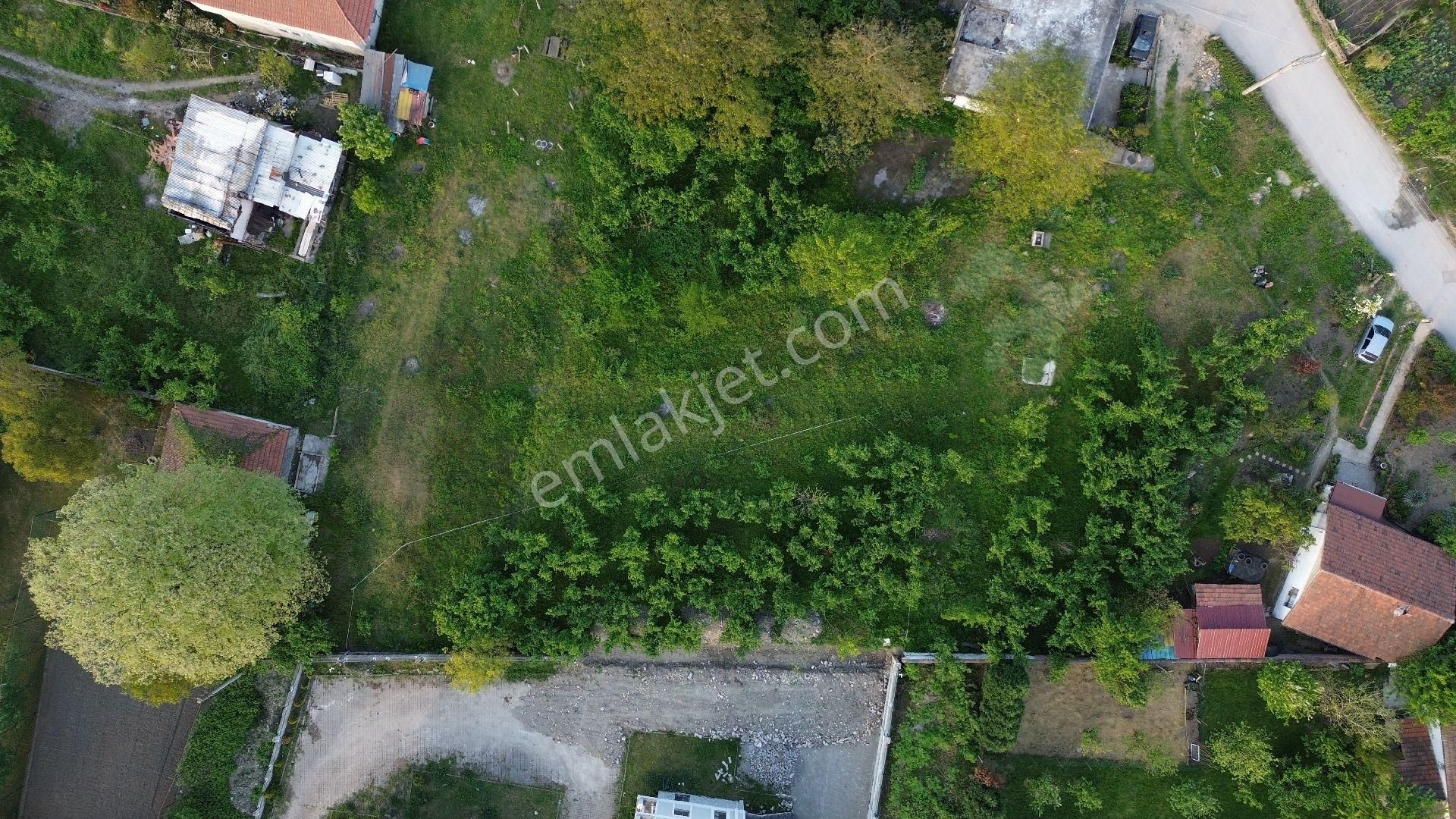Maşukiyede Sahibinden