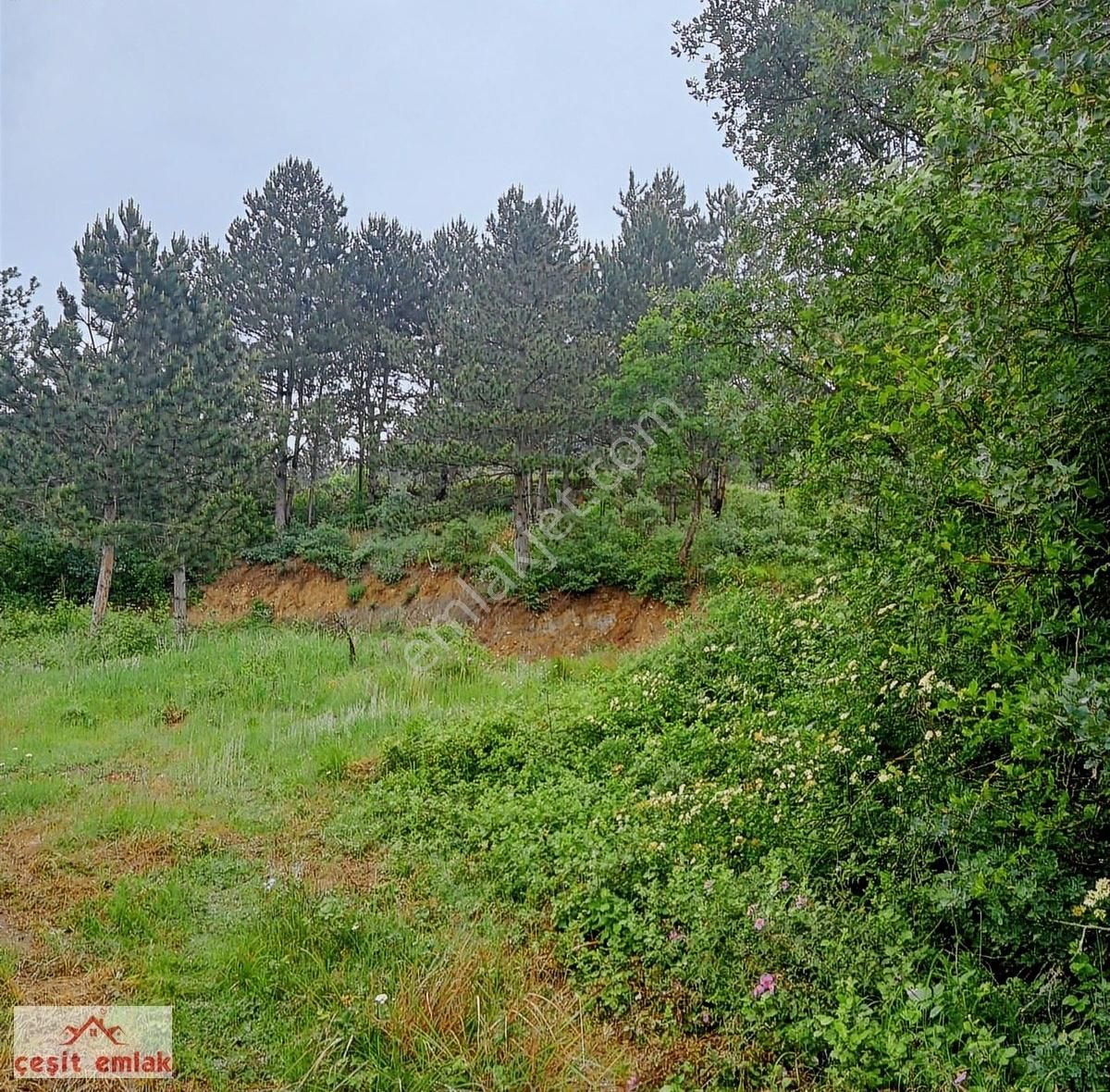 İnegöl Yenice 4050 M2 Satılık Tarla