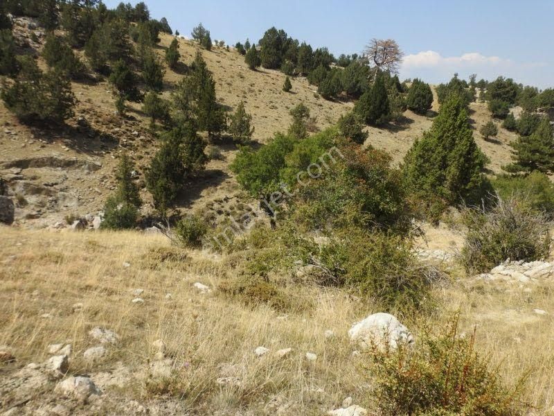 Çameli Cumaalanında 10 Dönüm Fırsat Fiyat Yatırımlık Tarla - Görsel 21