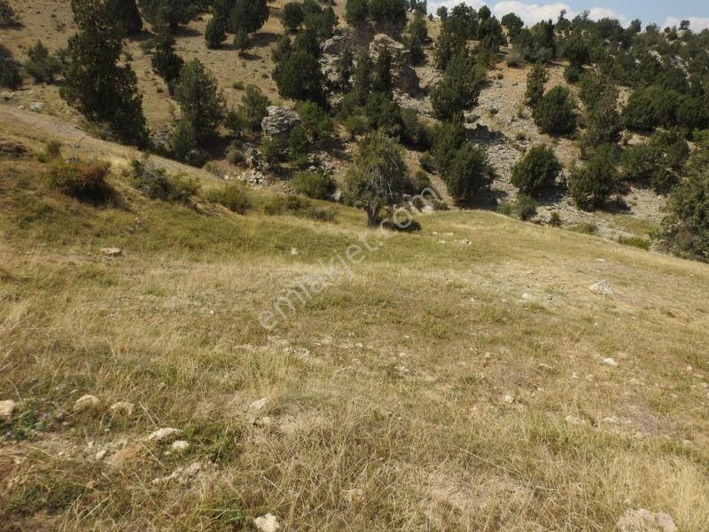 Çameli Cumaalanında 10 Dönüm Fırsat Fiyat Yatırımlık Tarla - Görsel 10